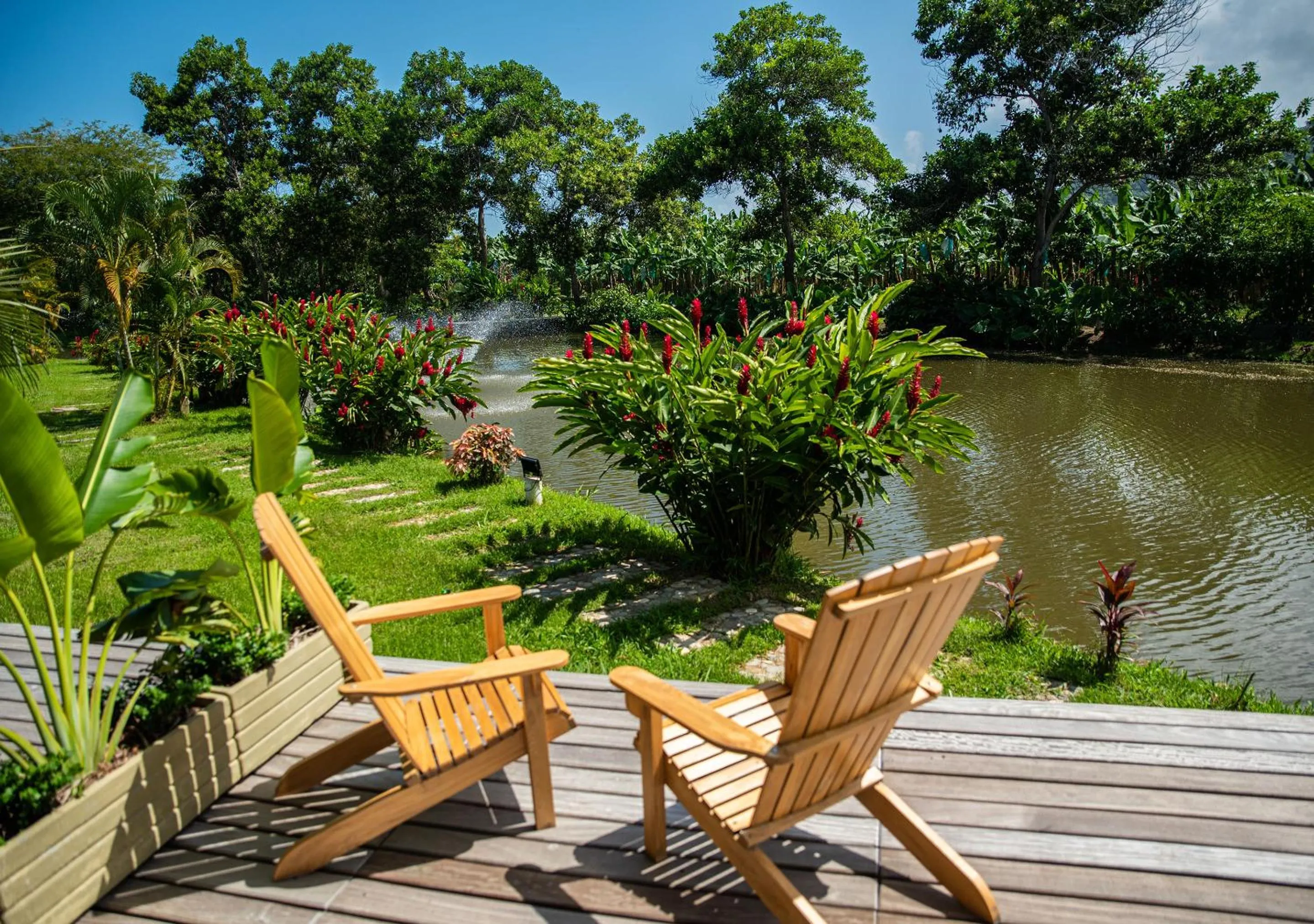 Spring in Gardenia Springs - La Finca Buritaca