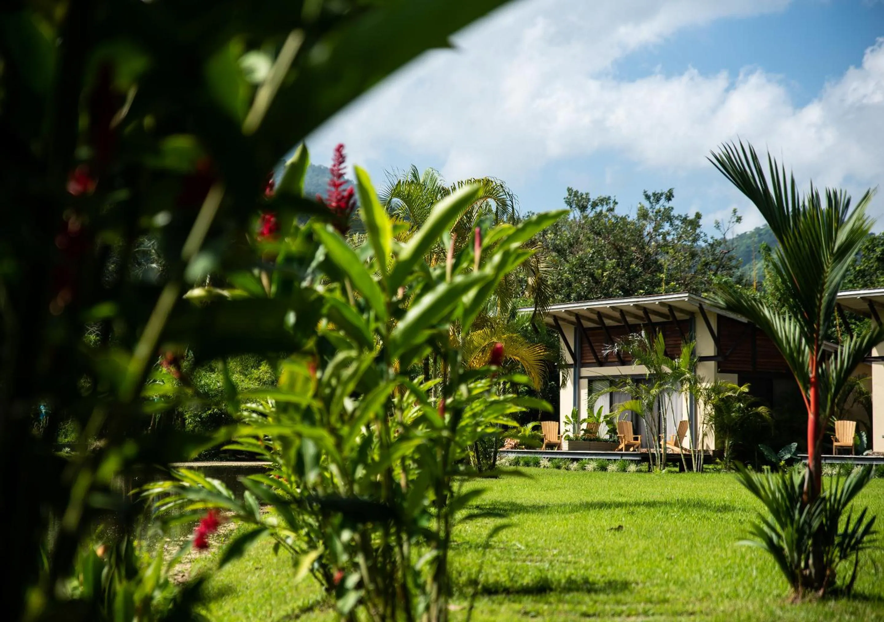 Garden in Gardenia Springs - La Finca Buritaca