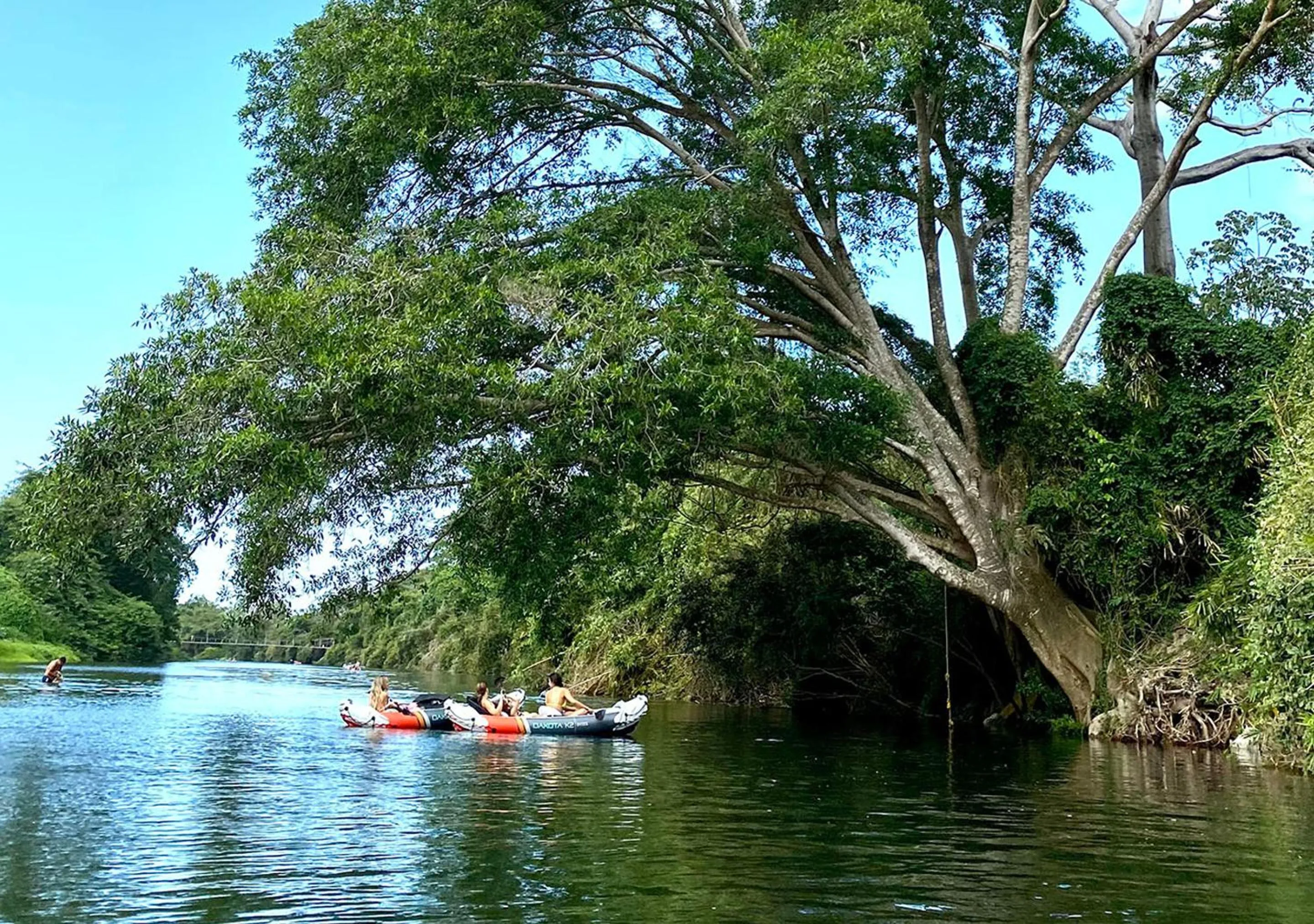 Natural landscape in Gardenia Springs - La Finca Buritaca