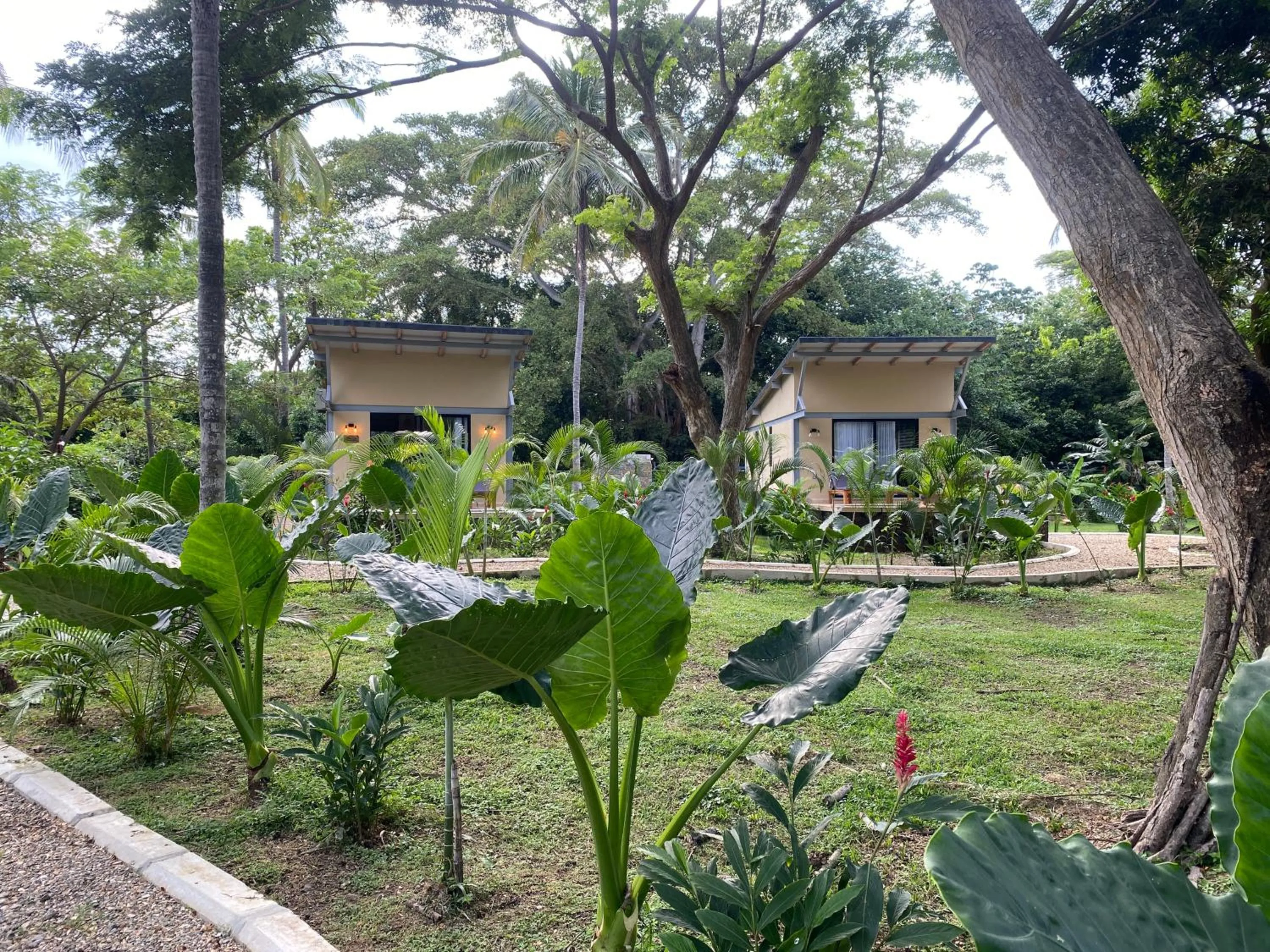 Photo of the whole room in Gardenia Springs - La Finca Buritaca