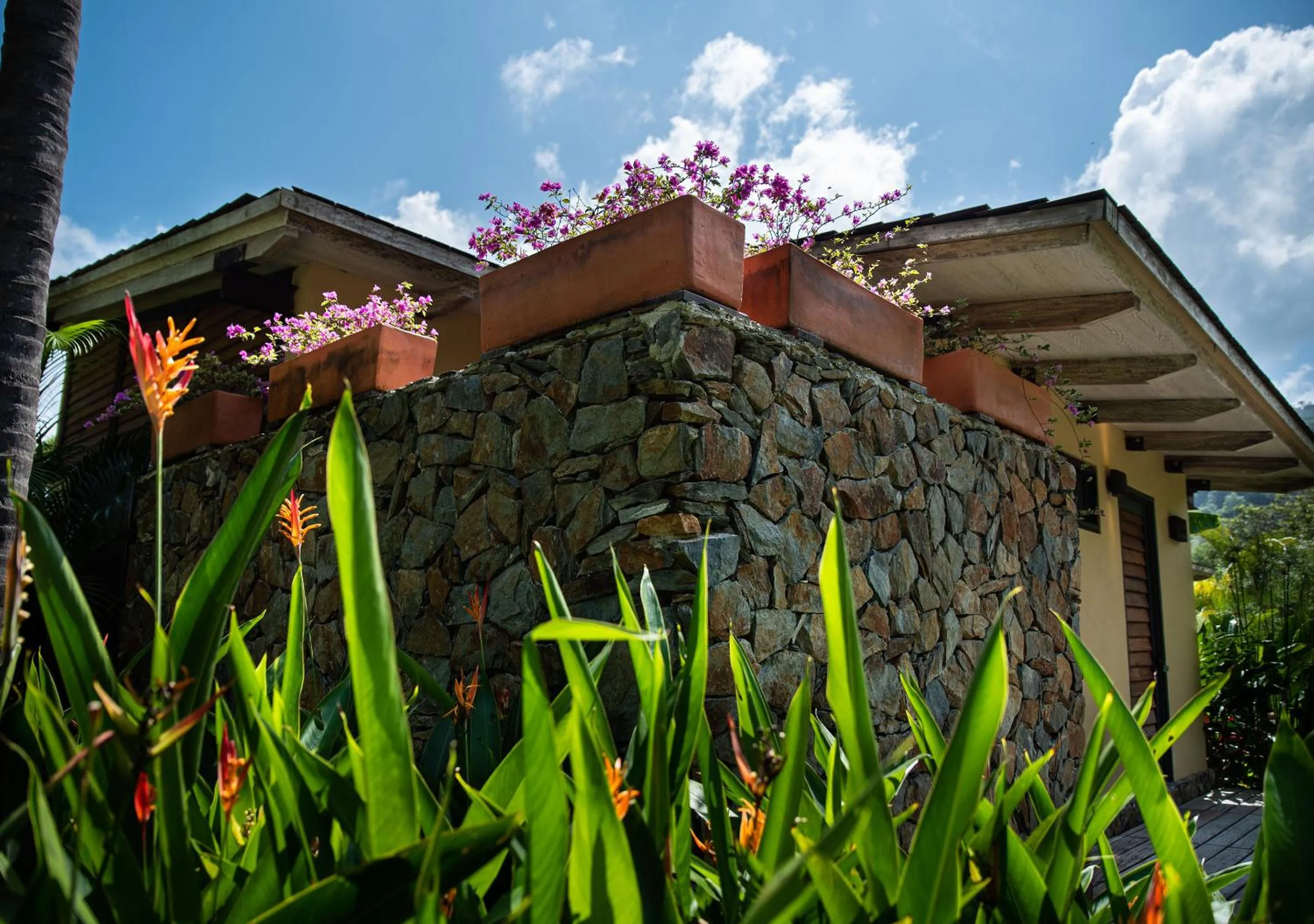 Property building in Gardenia Springs - La Finca Buritaca