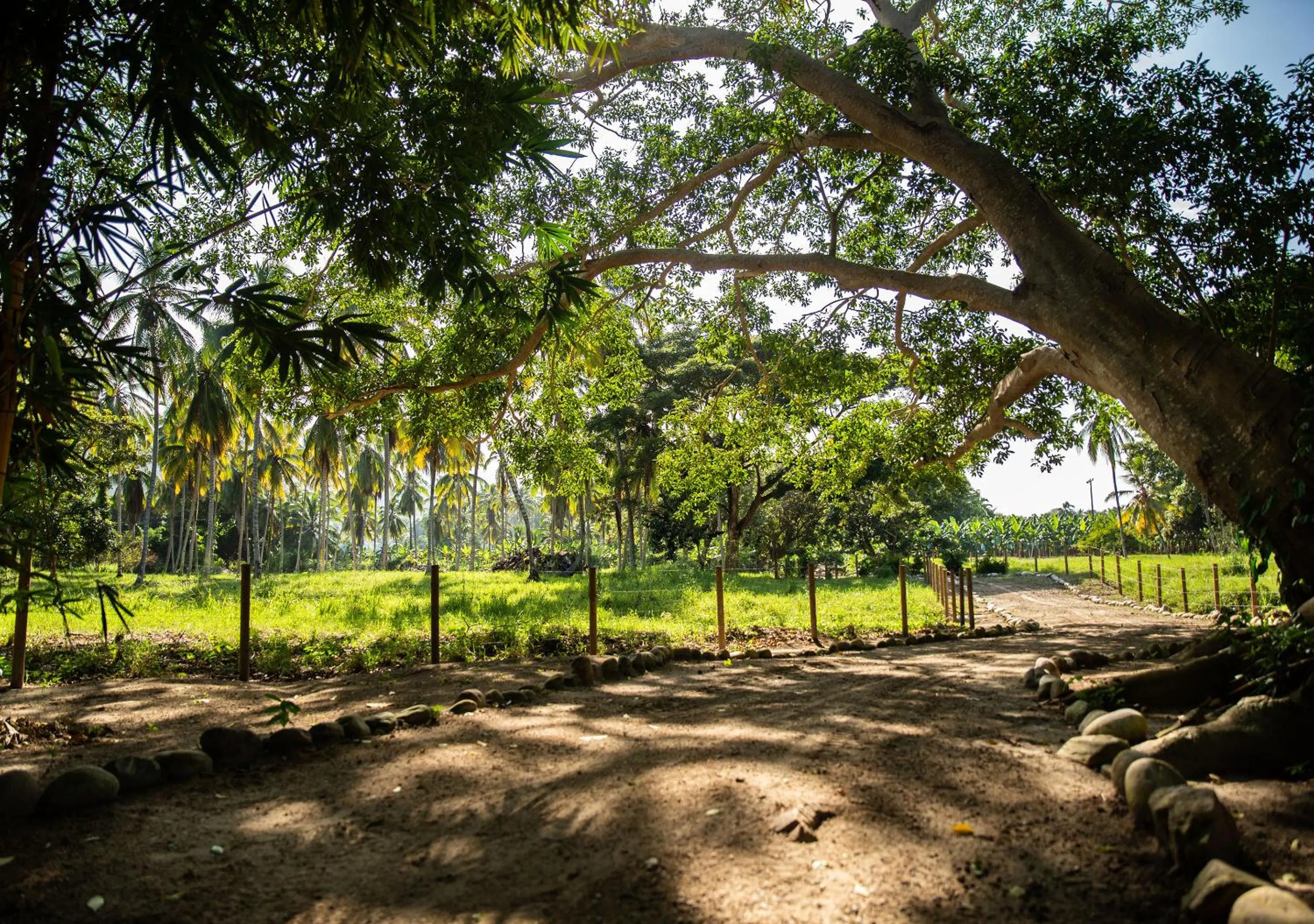 Garden in Gardenia Springs - La Finca Buritaca