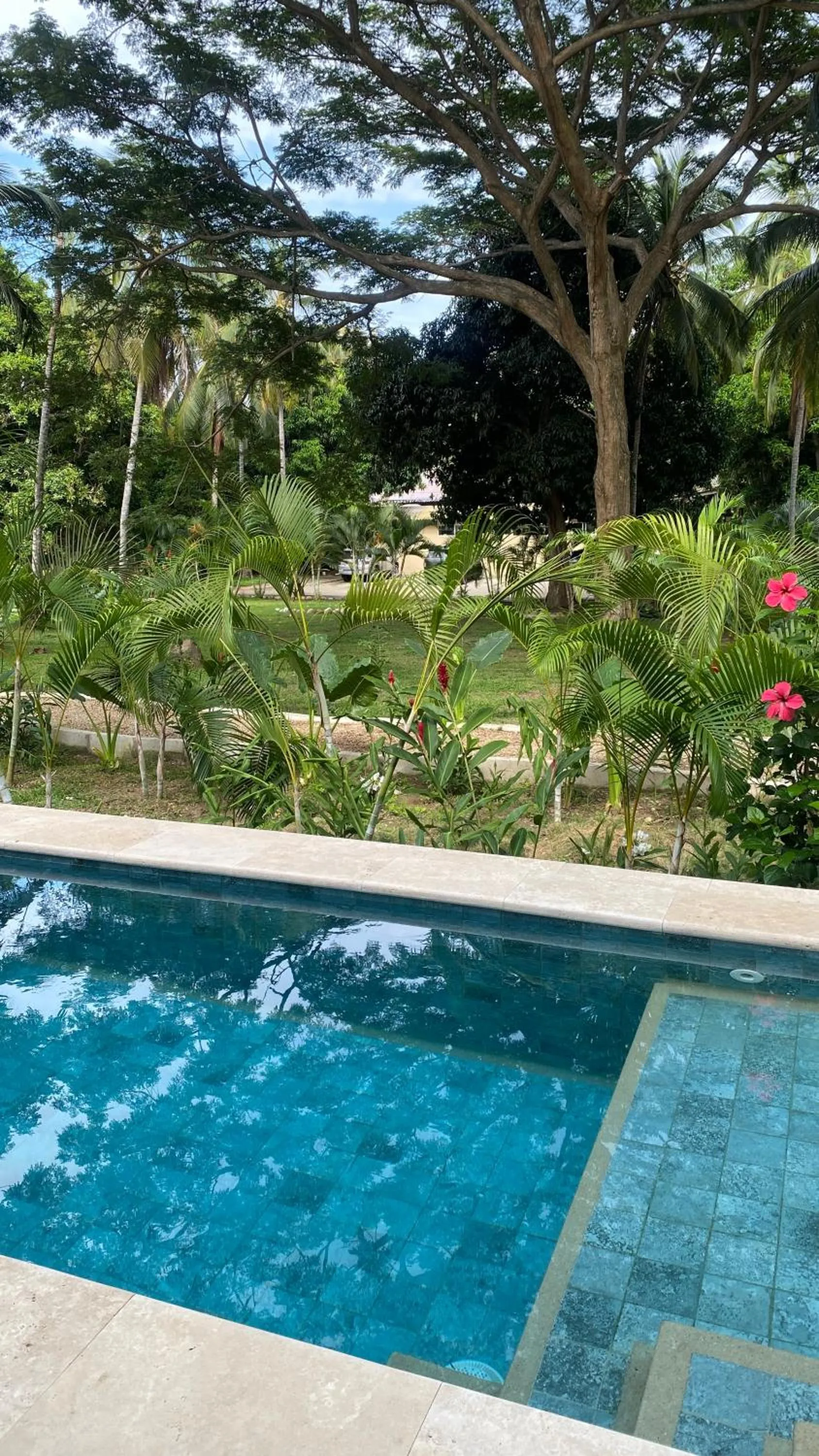 Swimming pool in Gardenia Springs - La Finca Buritaca