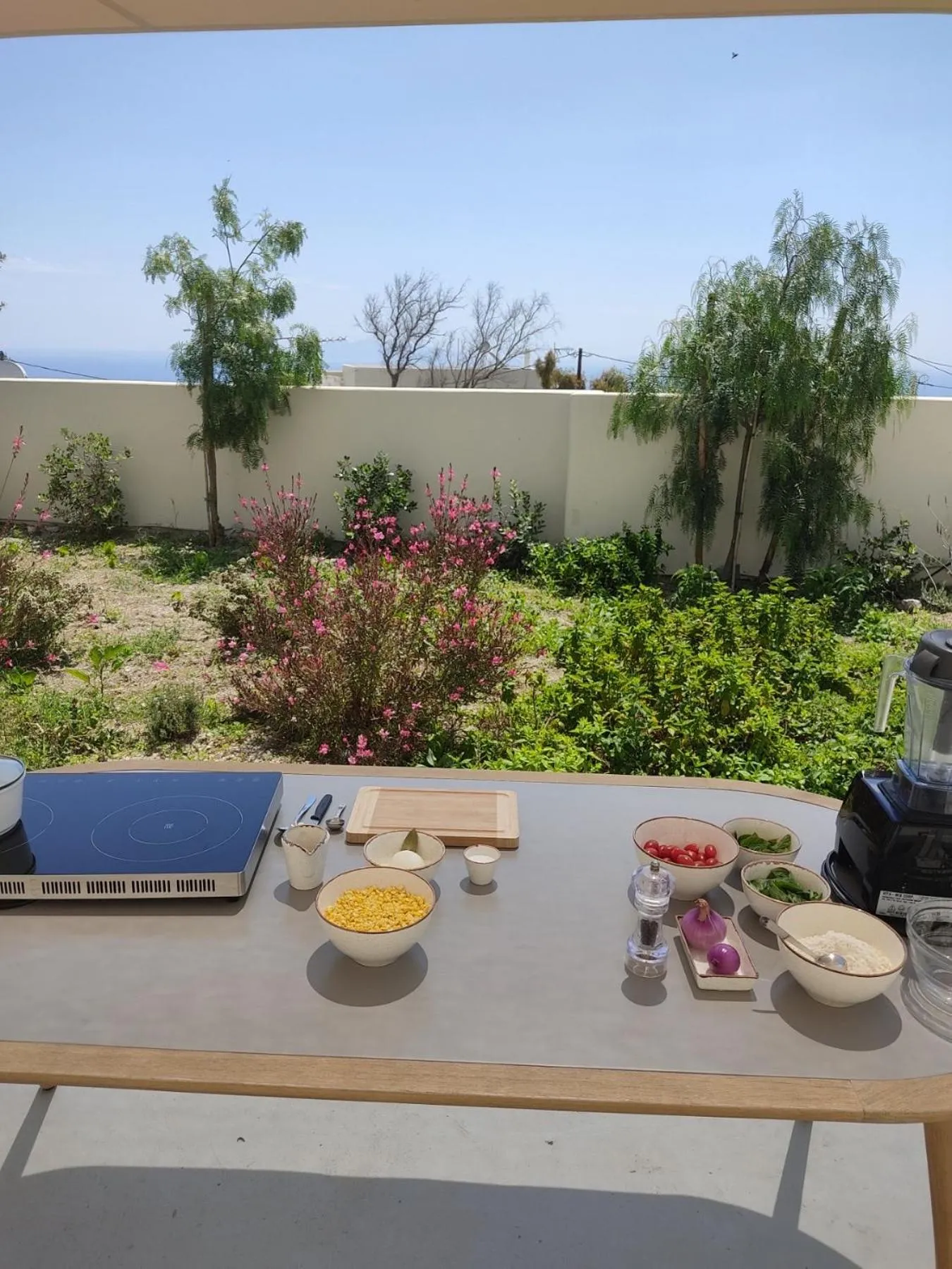 Mod Santorini Vegan Accommodation