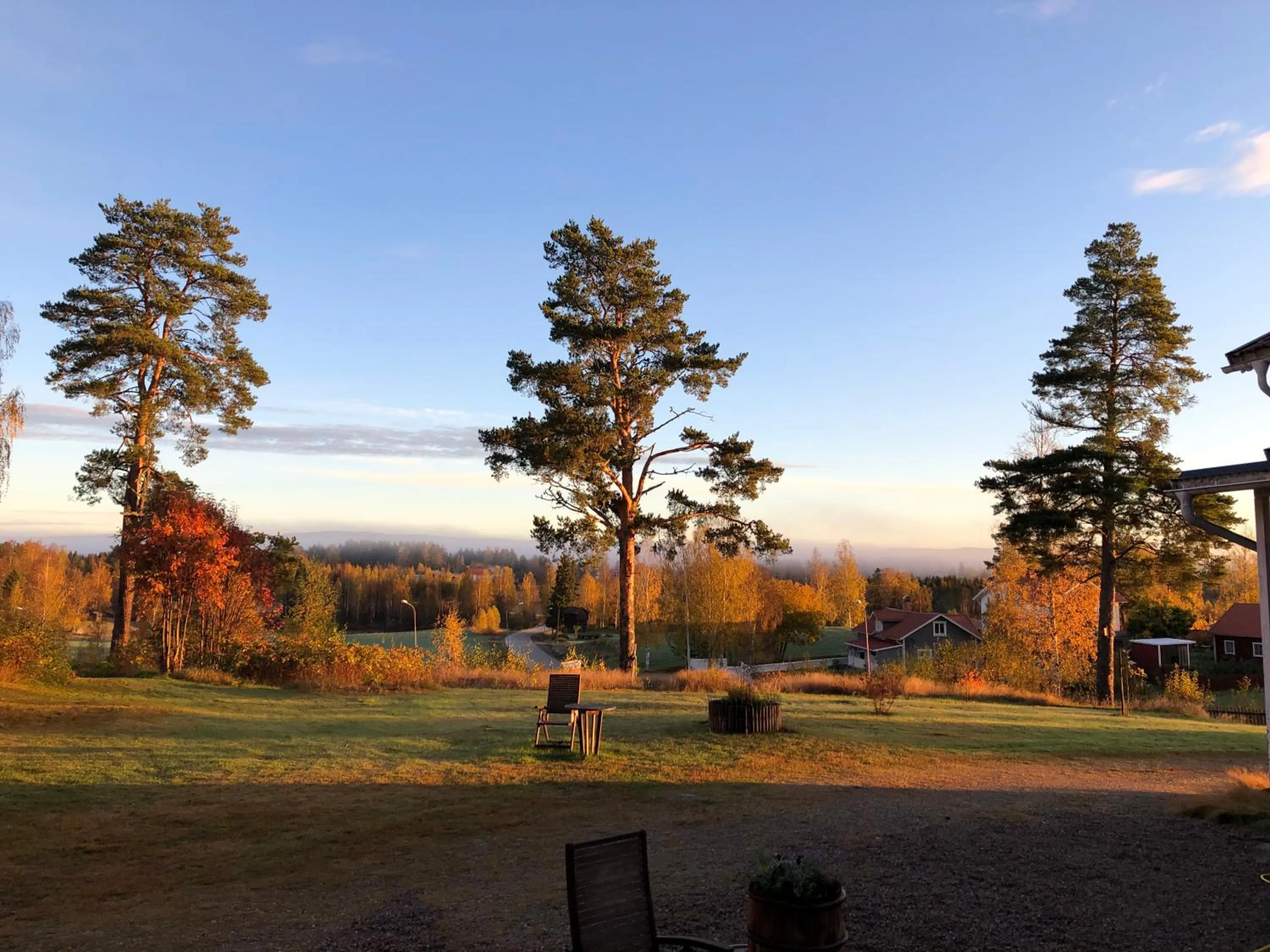Garden in Långhedgården Bed & Breakfast