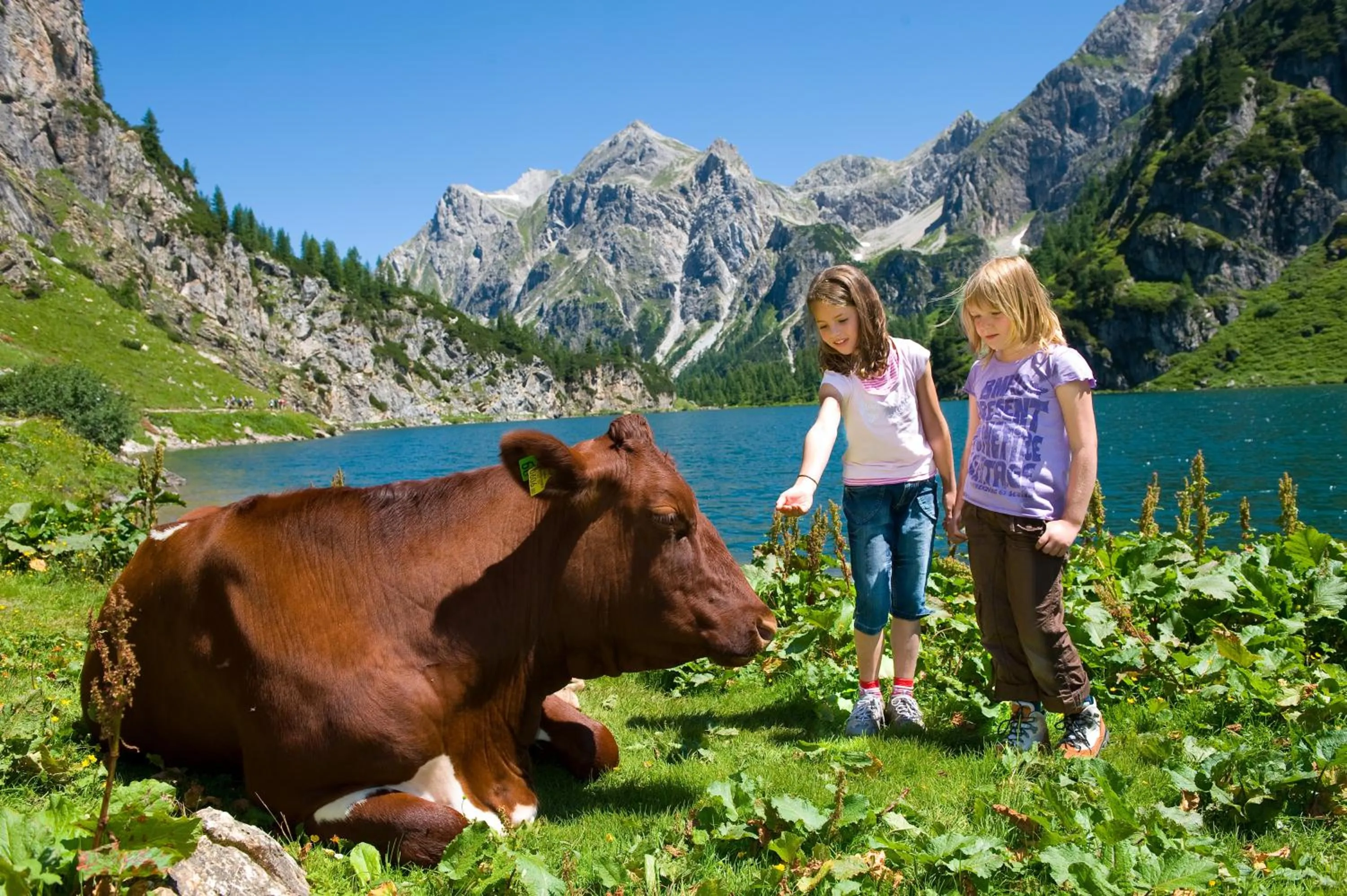 Hiking in Wander- und Familienhotel Erika