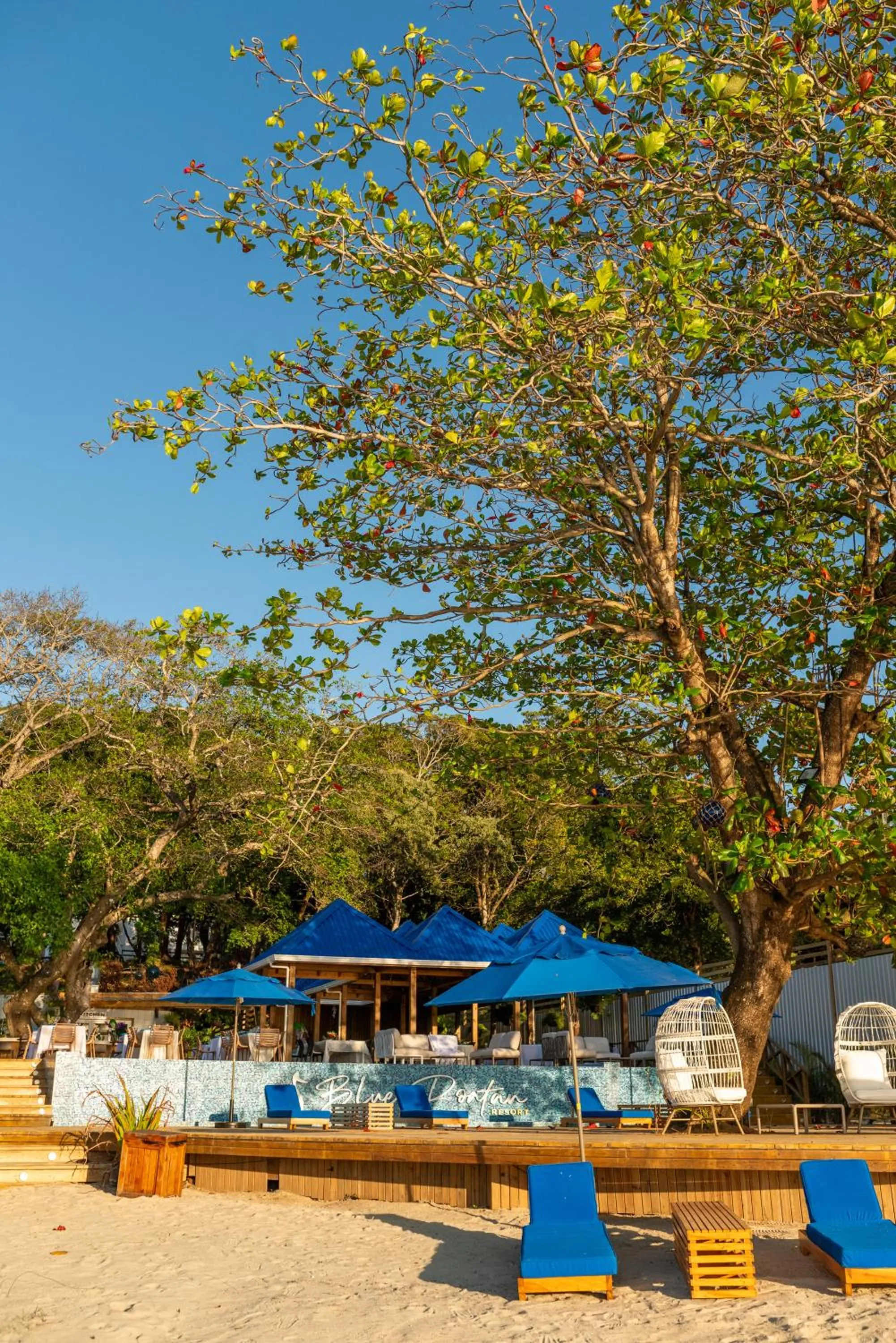 Property building in Blue Roatan Resort