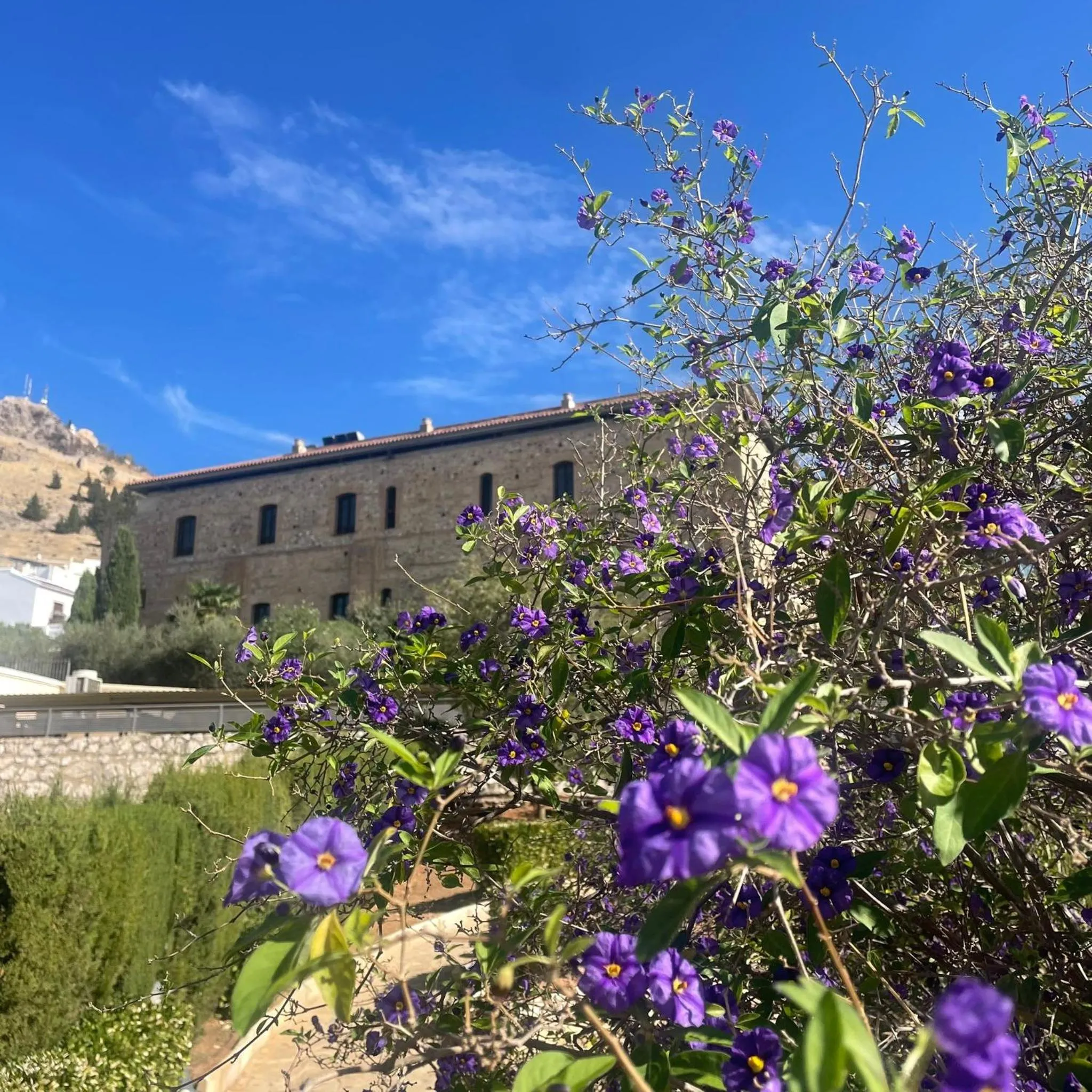 Property building in Hotel Escuela Convento Sto Domingo