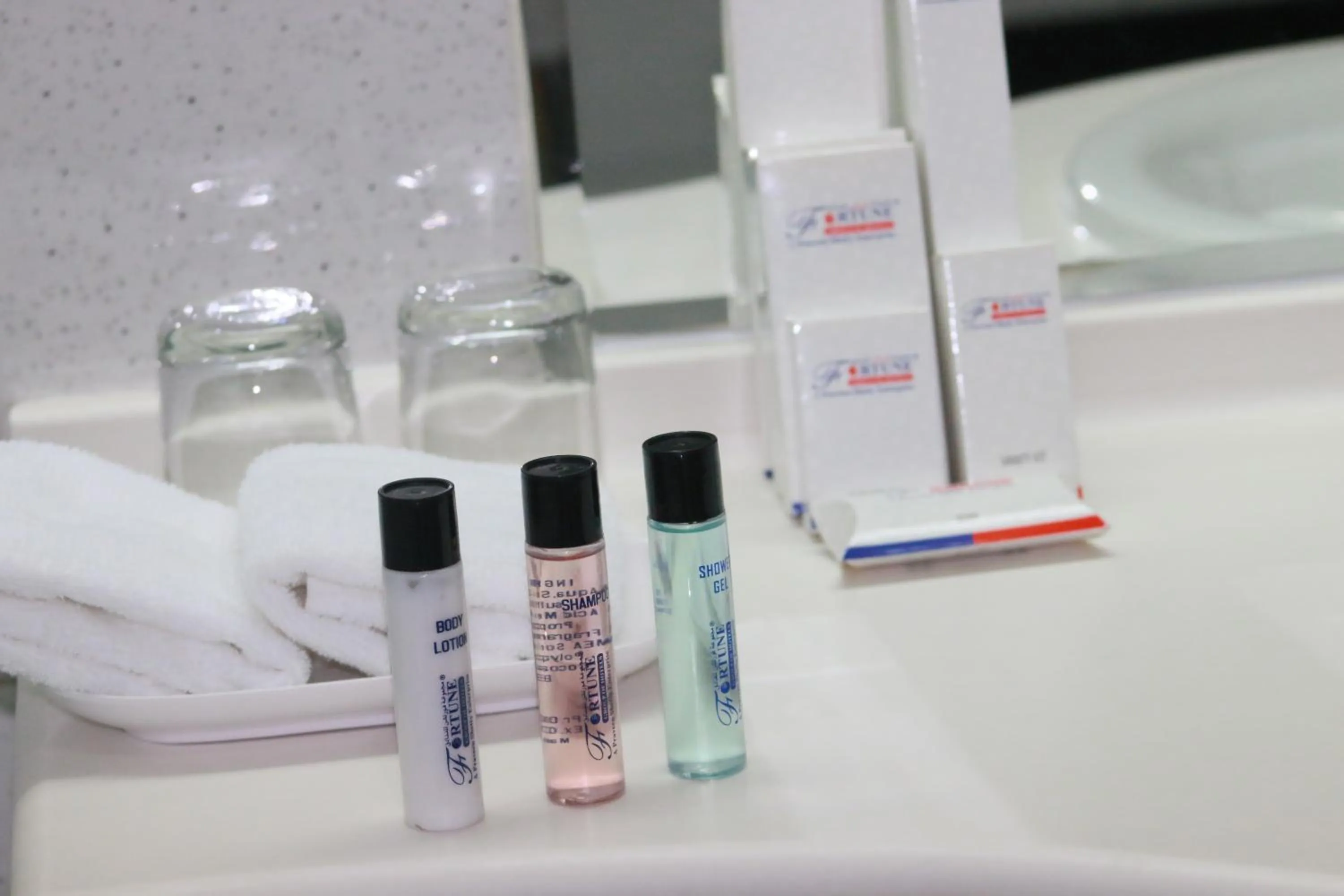 Bathroom in Dubai Grand Hotel by Fortune, Dubai Airport