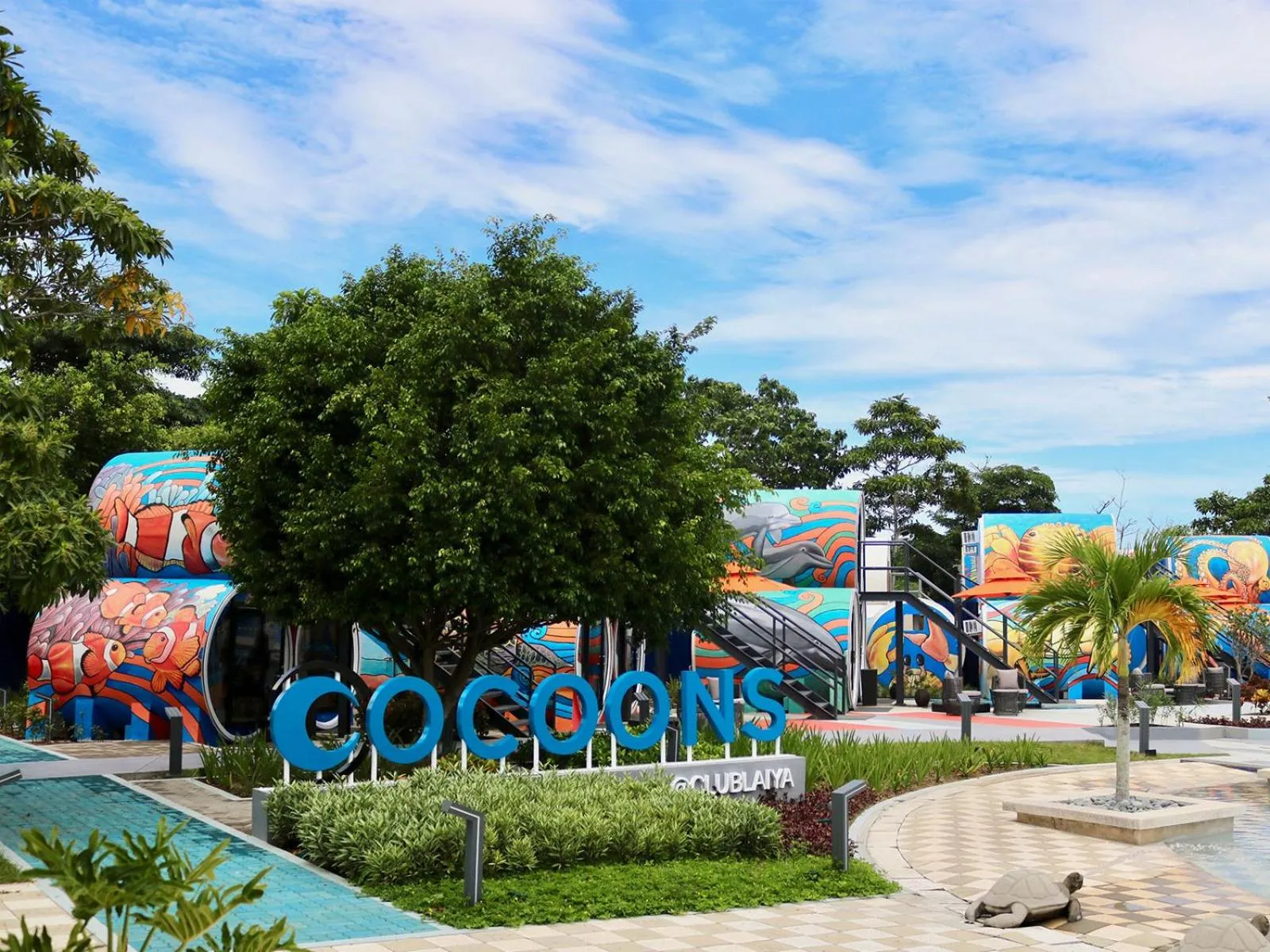 View (from property/room) in Cocoons Club Laiya