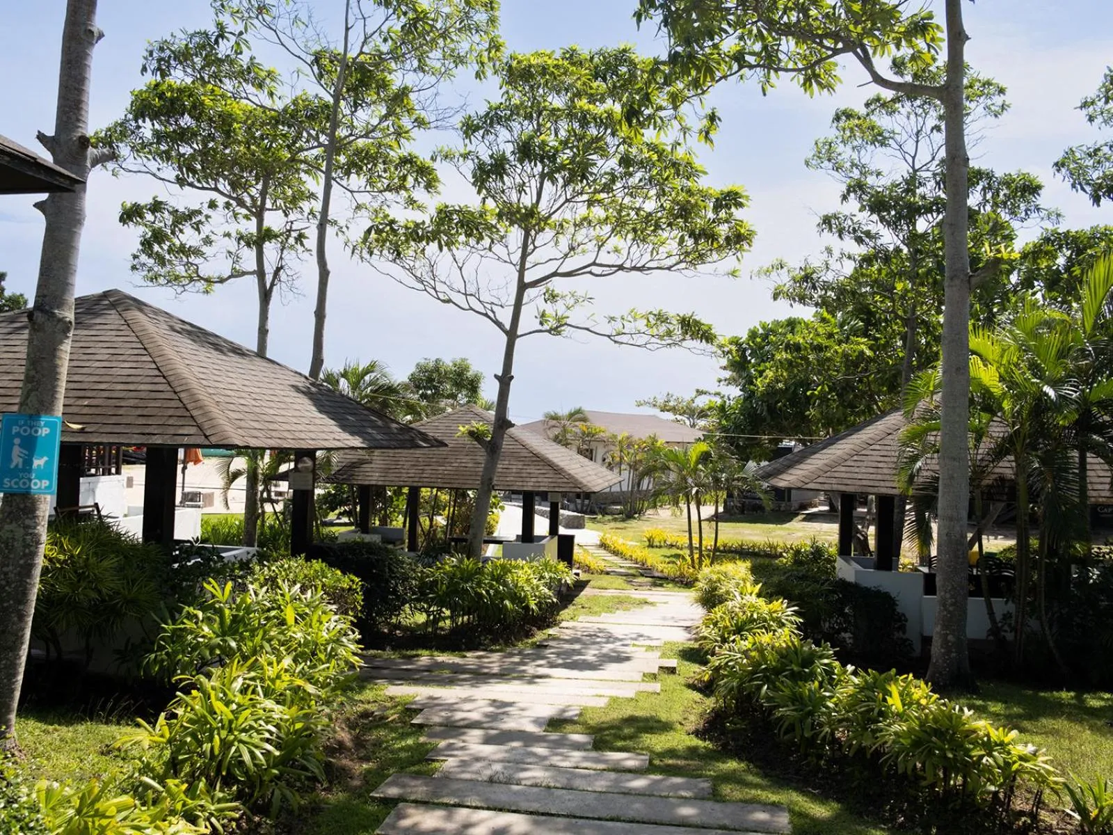 Day in Cocoons Club Laiya