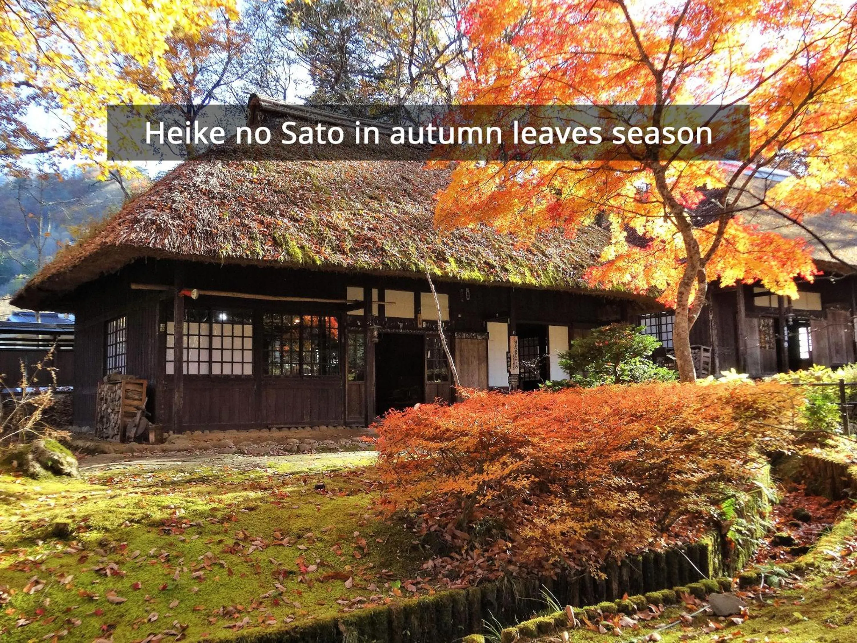 Nearby landmark in KAMENOI HOTEL Nikko Yunishigawa All-Inclusive Resort