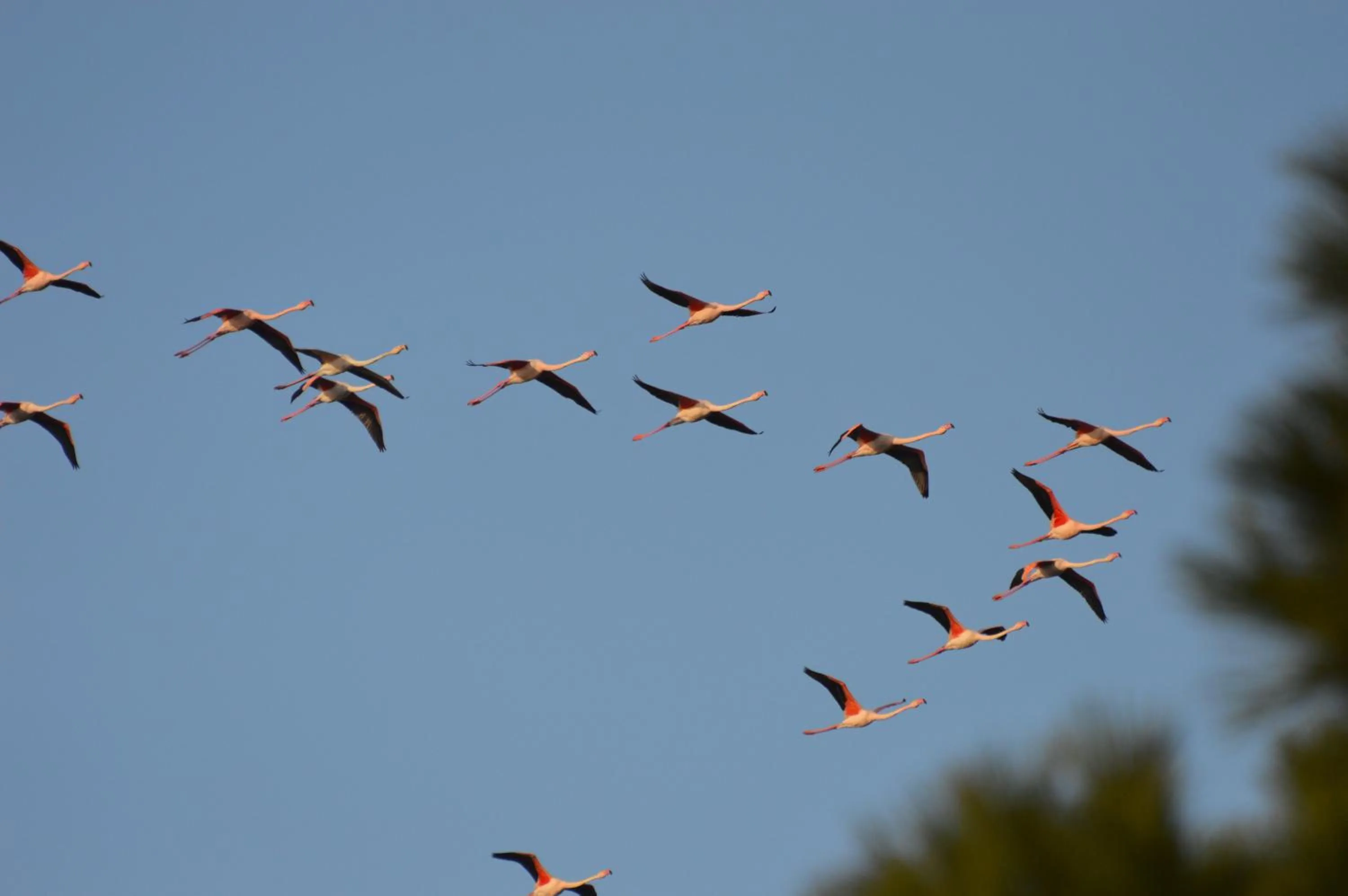 Natural landscape in Hotel Saint Louis - Au Coeur des Remparts