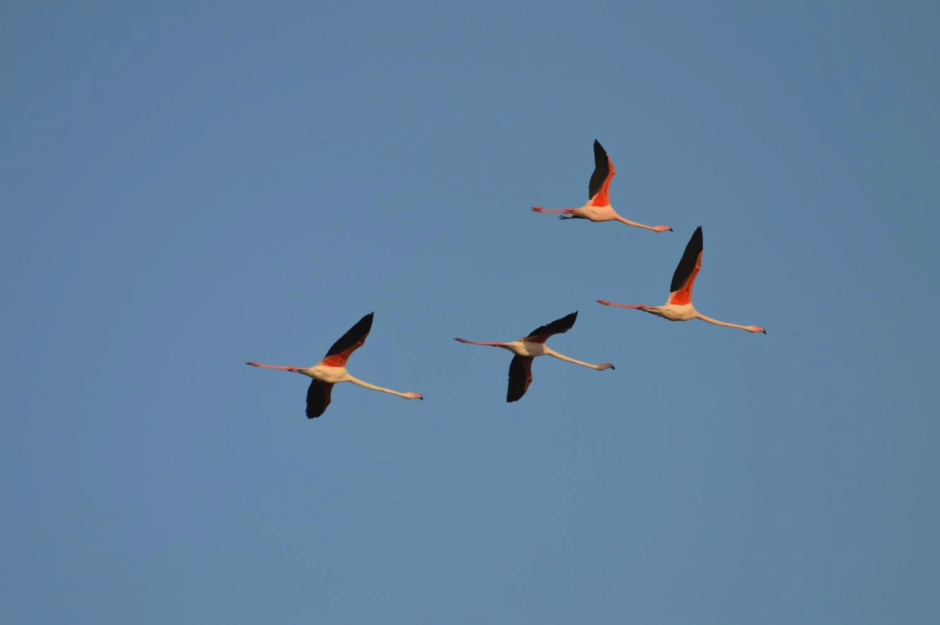 Natural landscape in Hotel Saint Louis - Au Coeur des Remparts