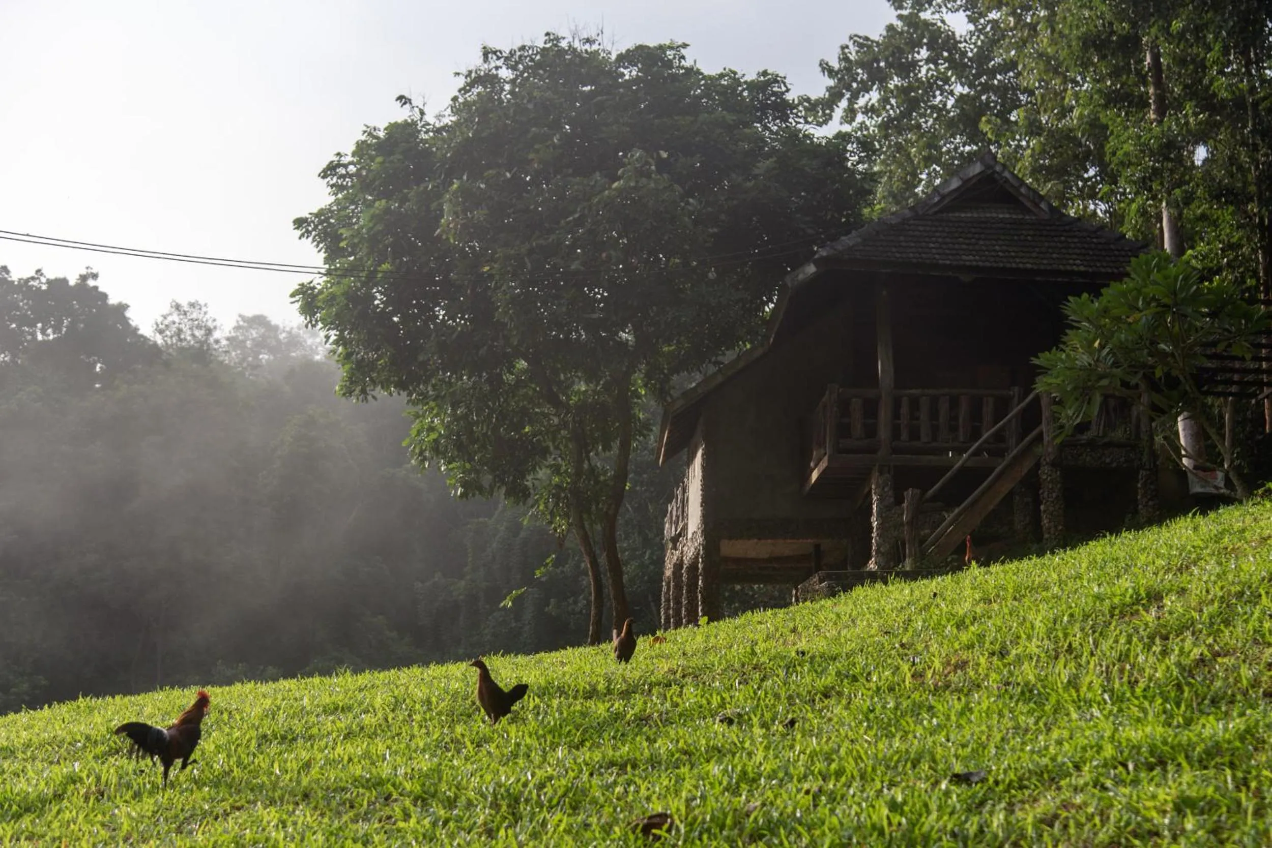 Garden in Tawan Riverside