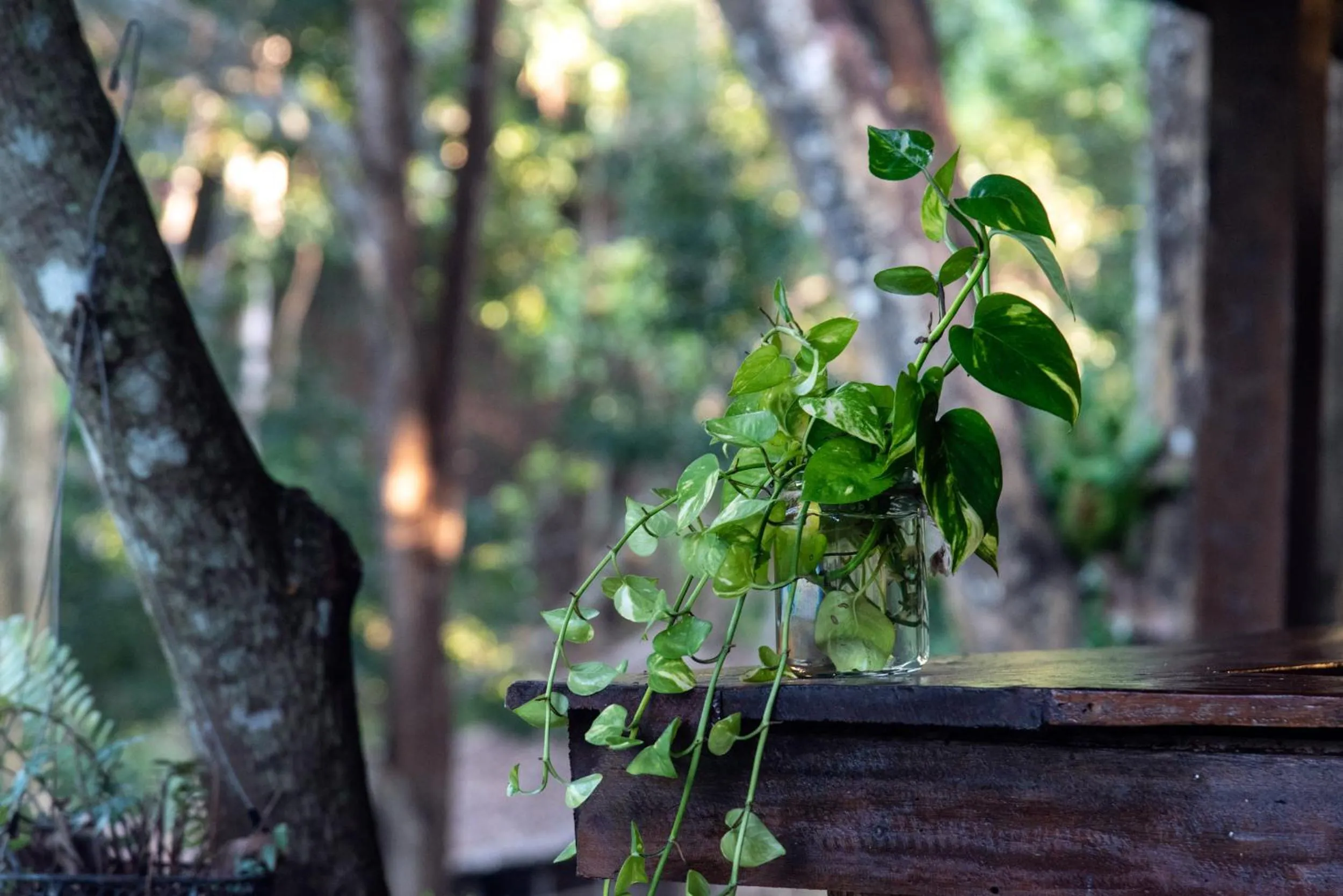 Restaurant/places to eat in Tawan Riverside