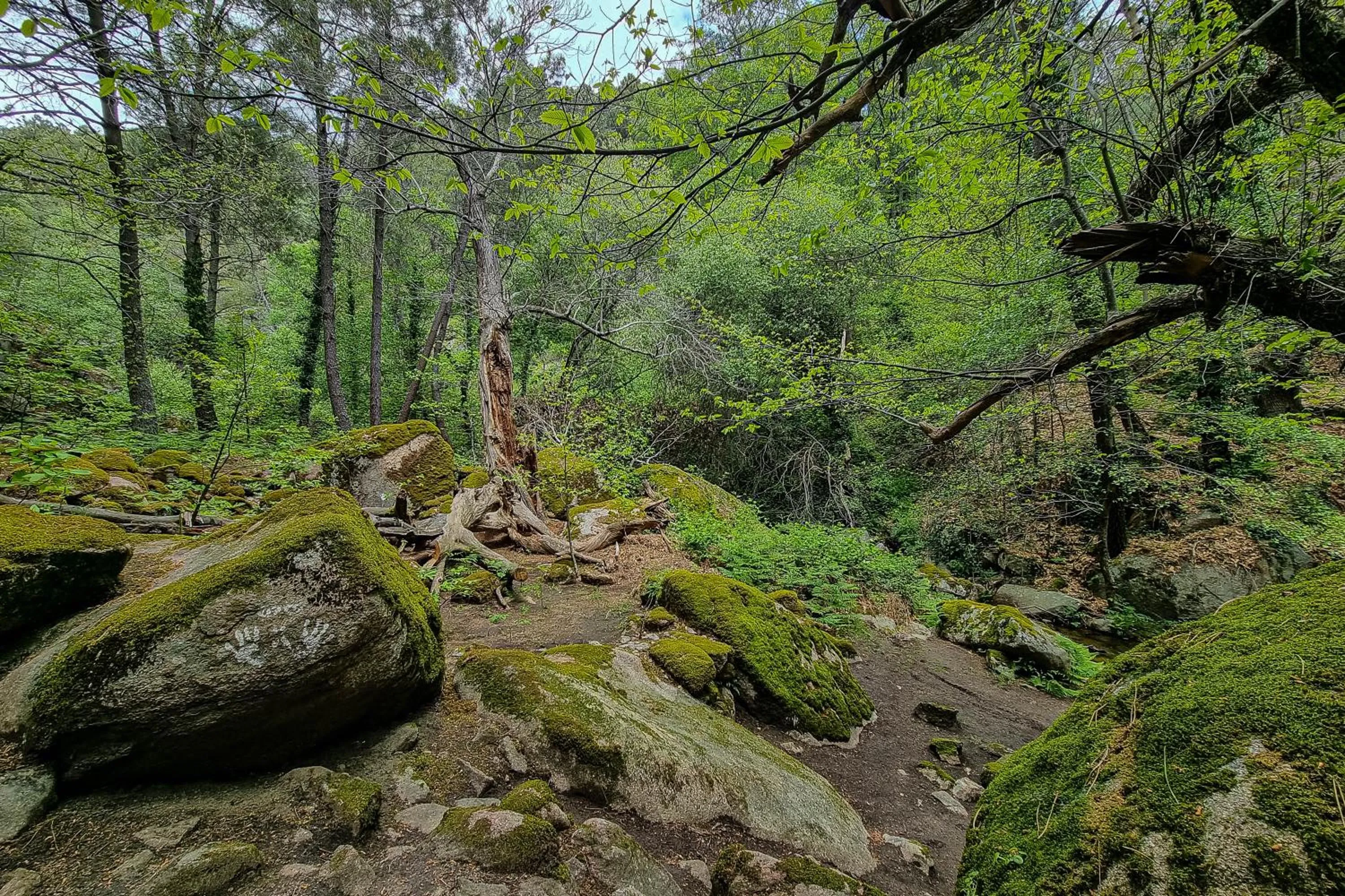 Natural landscape in Eras del Poeta