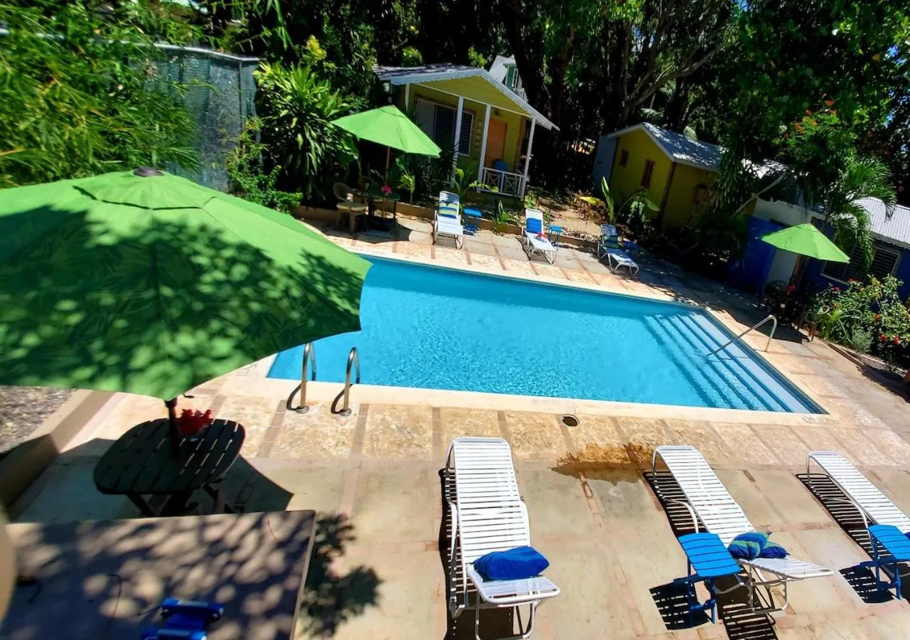 Swimming pool in Bak A Yaad