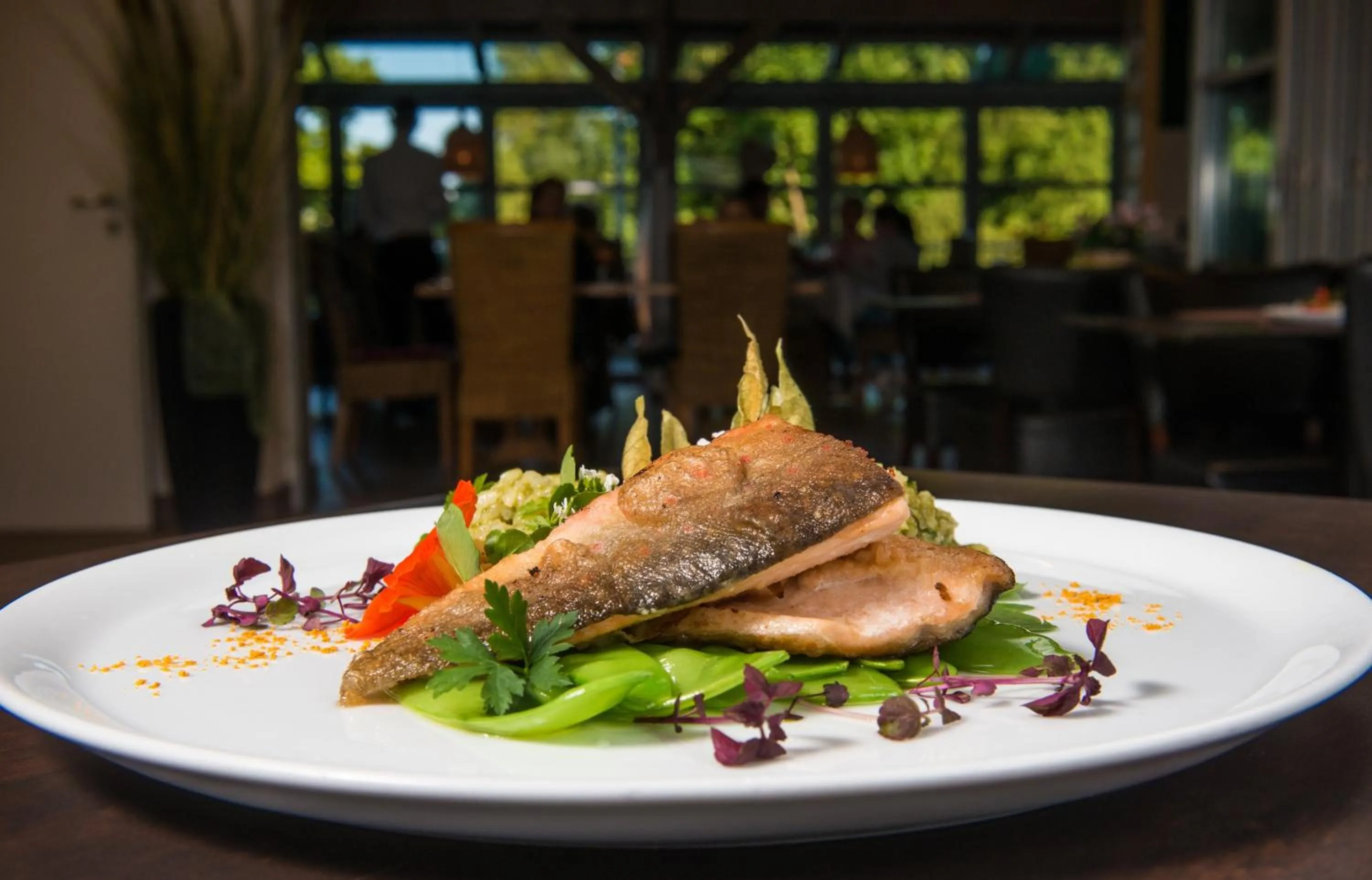 Restaurant/places to eat in Hotel Volapük