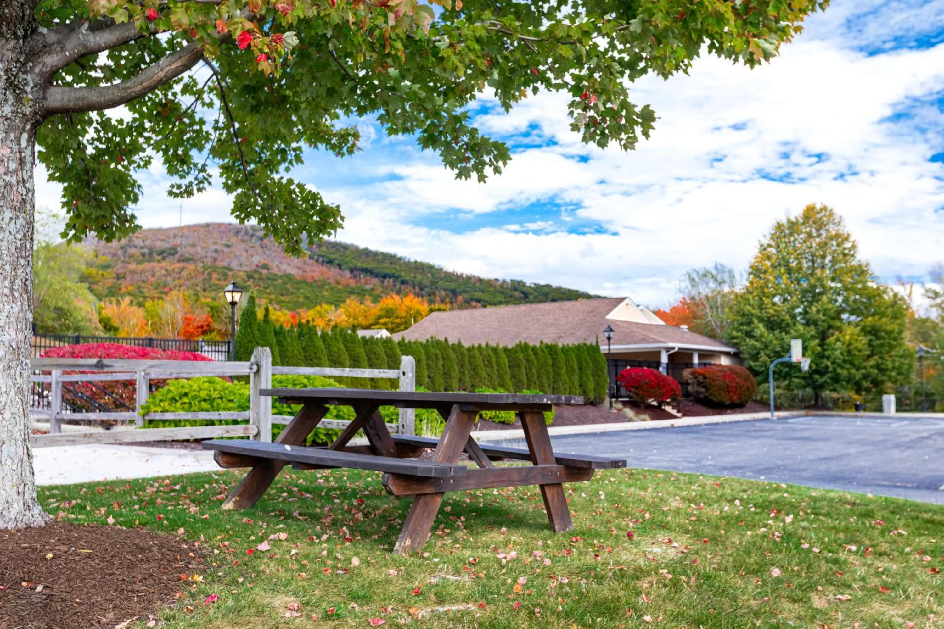 Neighbourhood in Vacation Village in the Berkshires
