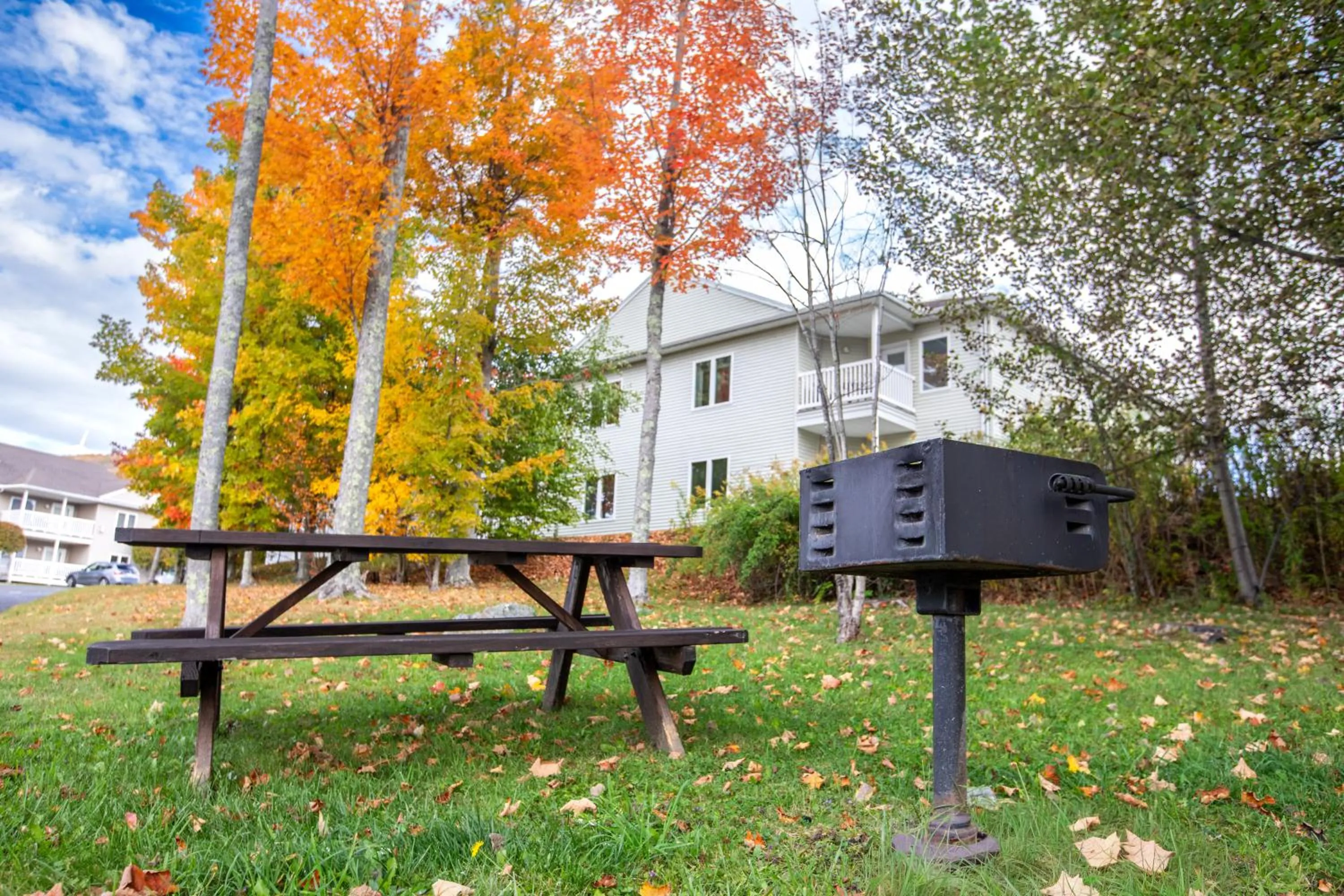 Natural landscape in Vacation Village in the Berkshires
