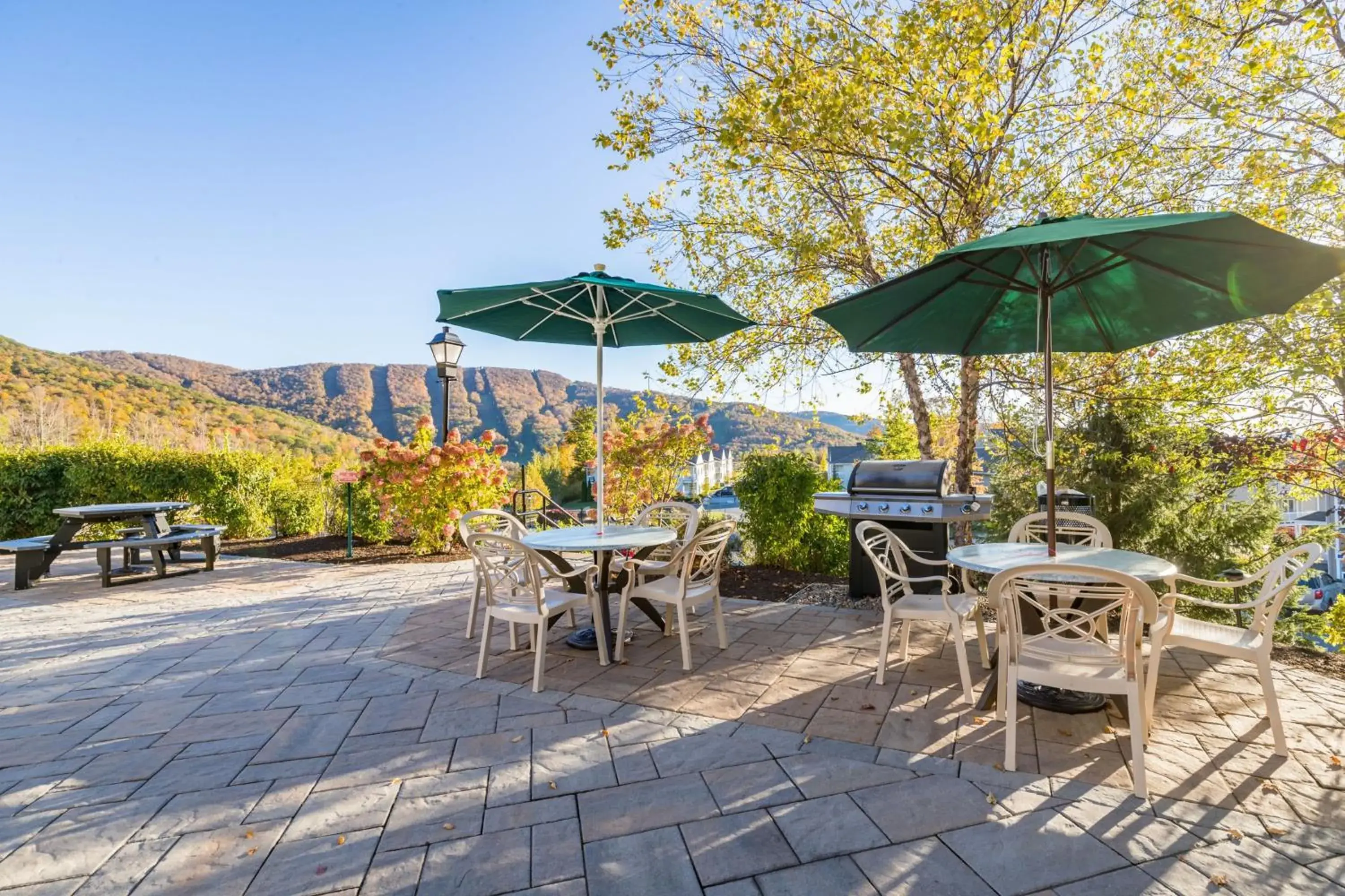 BBQ facilities in Vacation Village in the Berkshires BBQ facilities in Vacation Village in the Berkshires