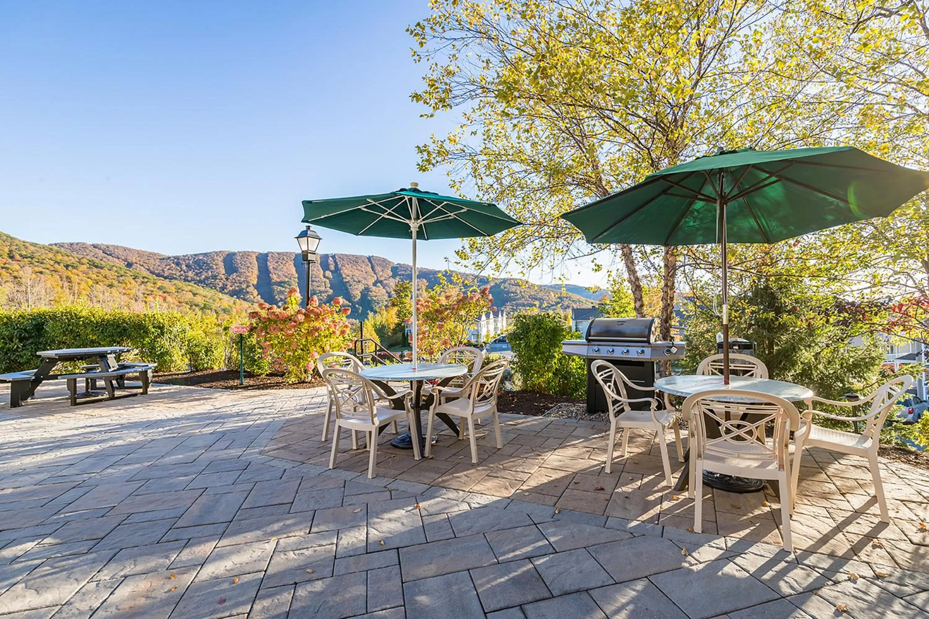 BBQ facilities in Vacation Village in the Berkshires