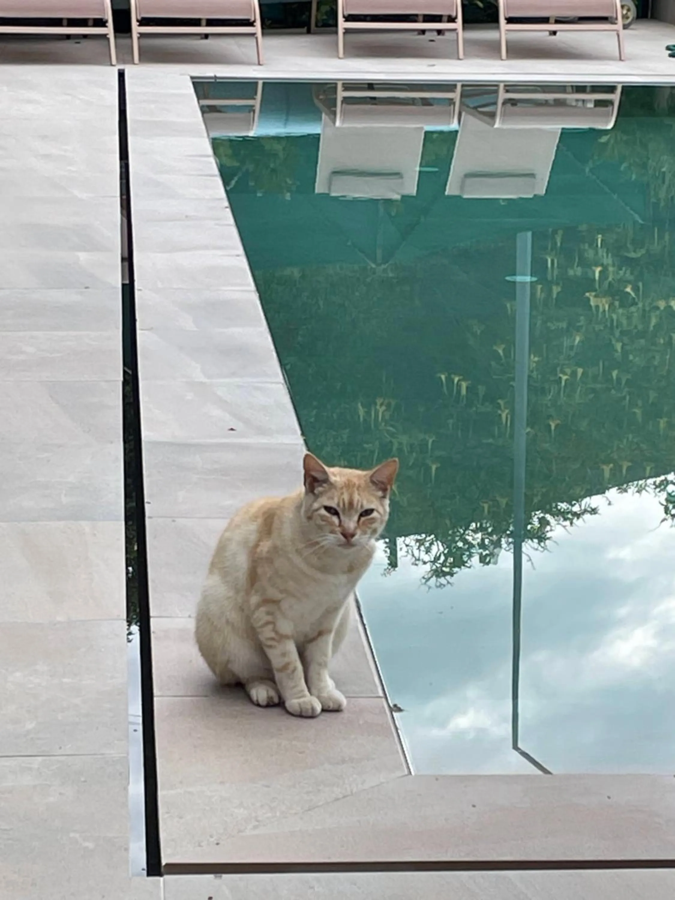 Swimming pool in Santiago Family House