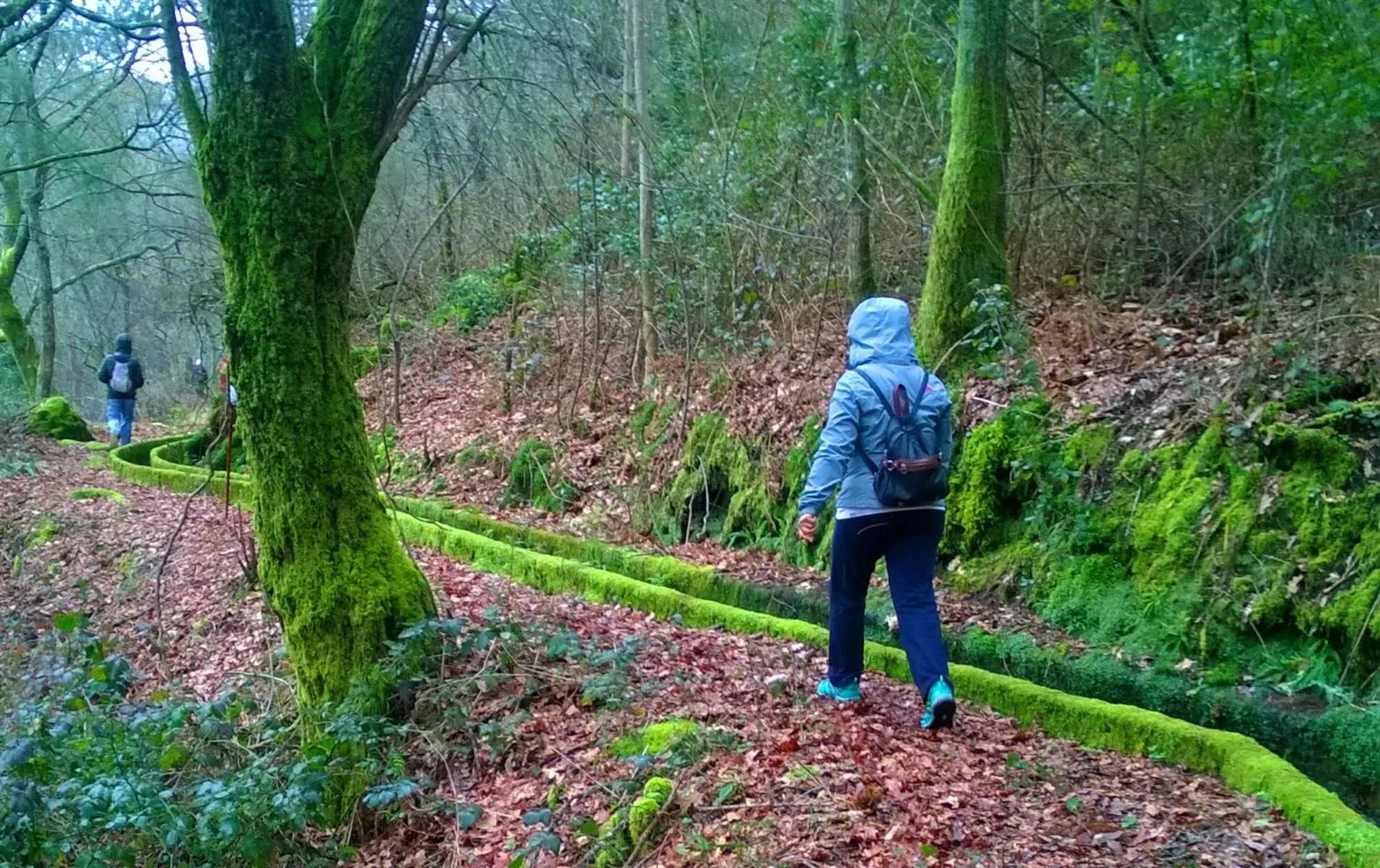 Natural landscape in Santiago Family House