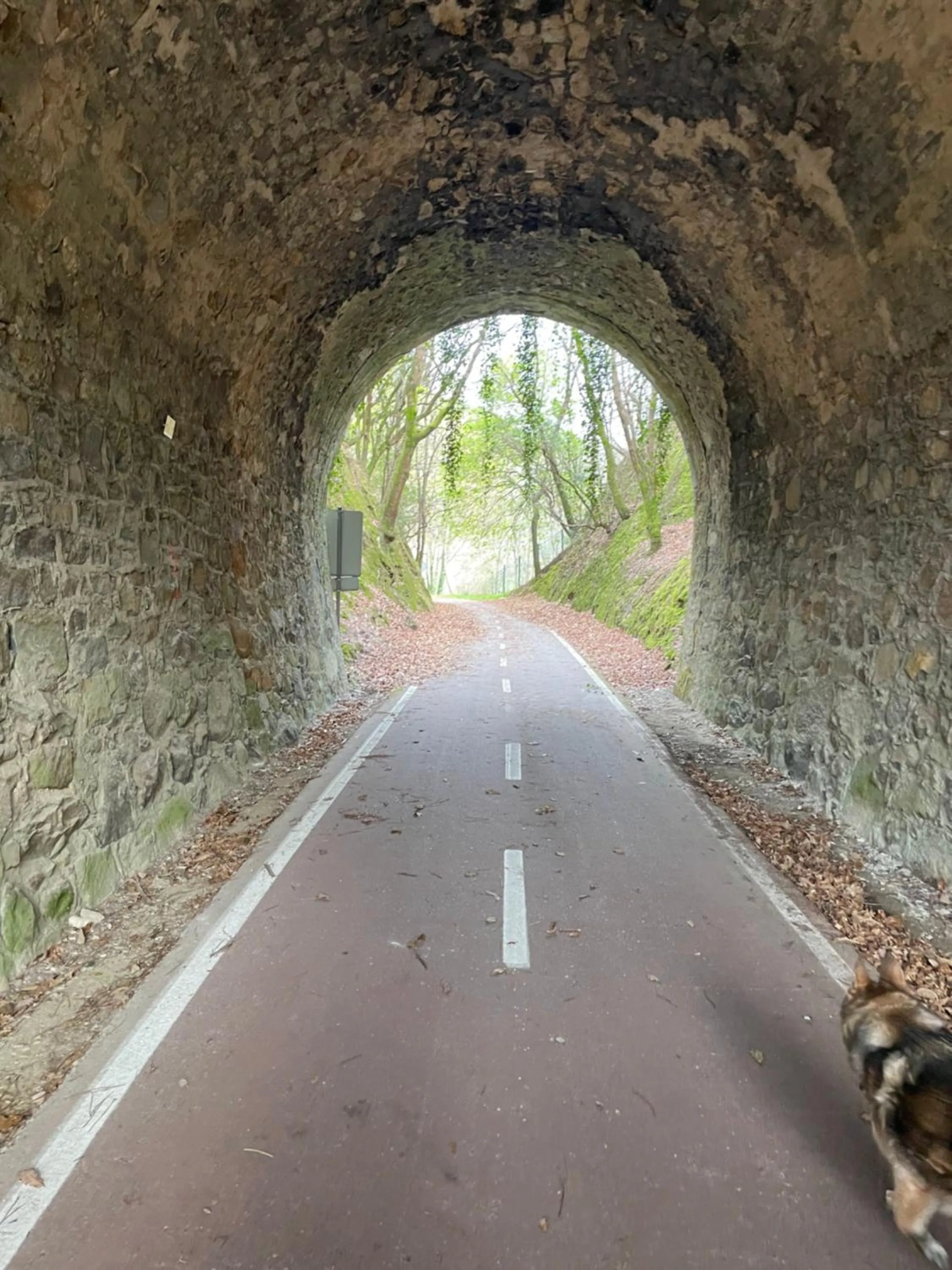 Natural landscape in Santiago Family House
