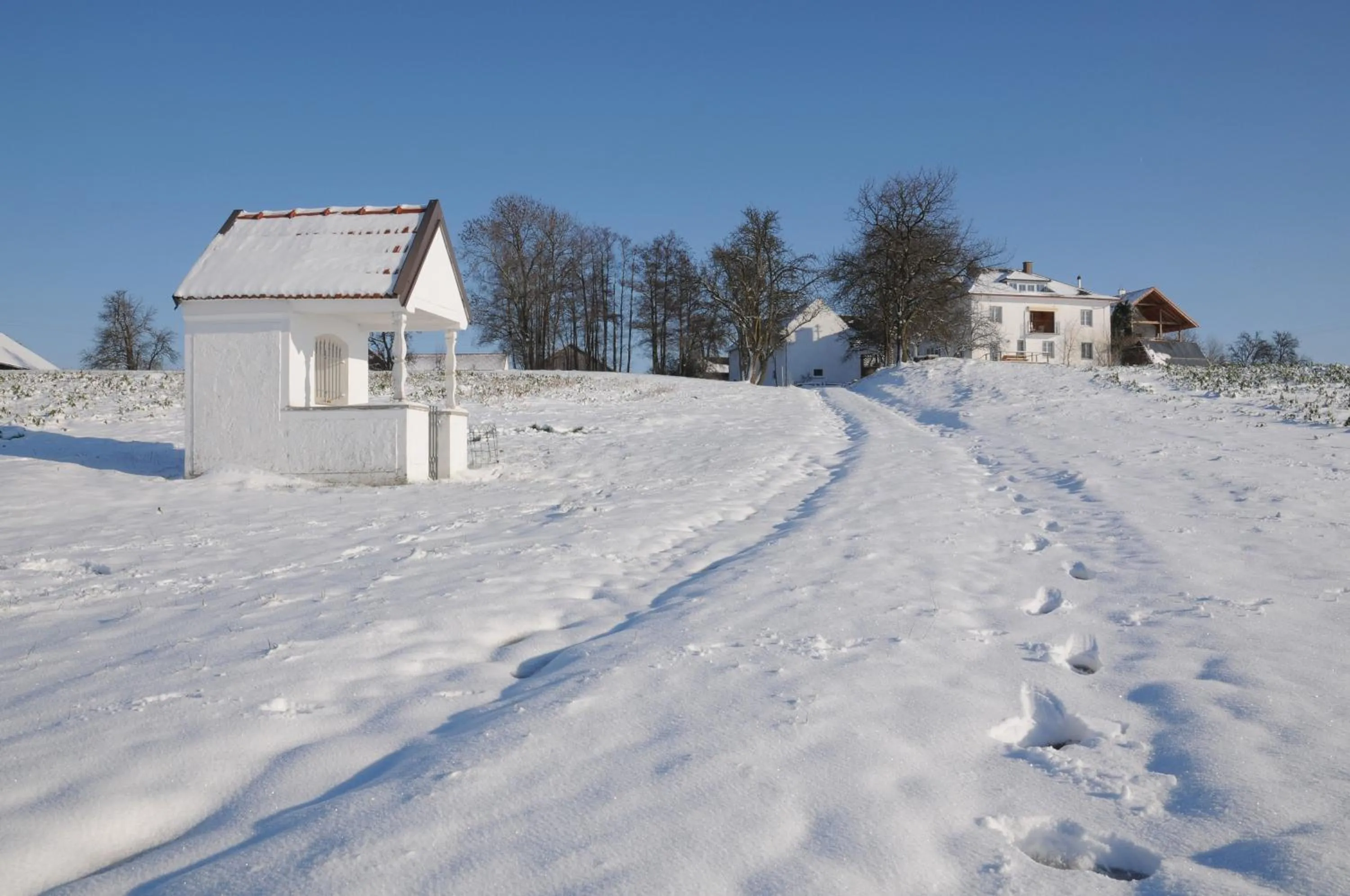 Area and facilities in Geinberg Suites & Via Nova Lodges