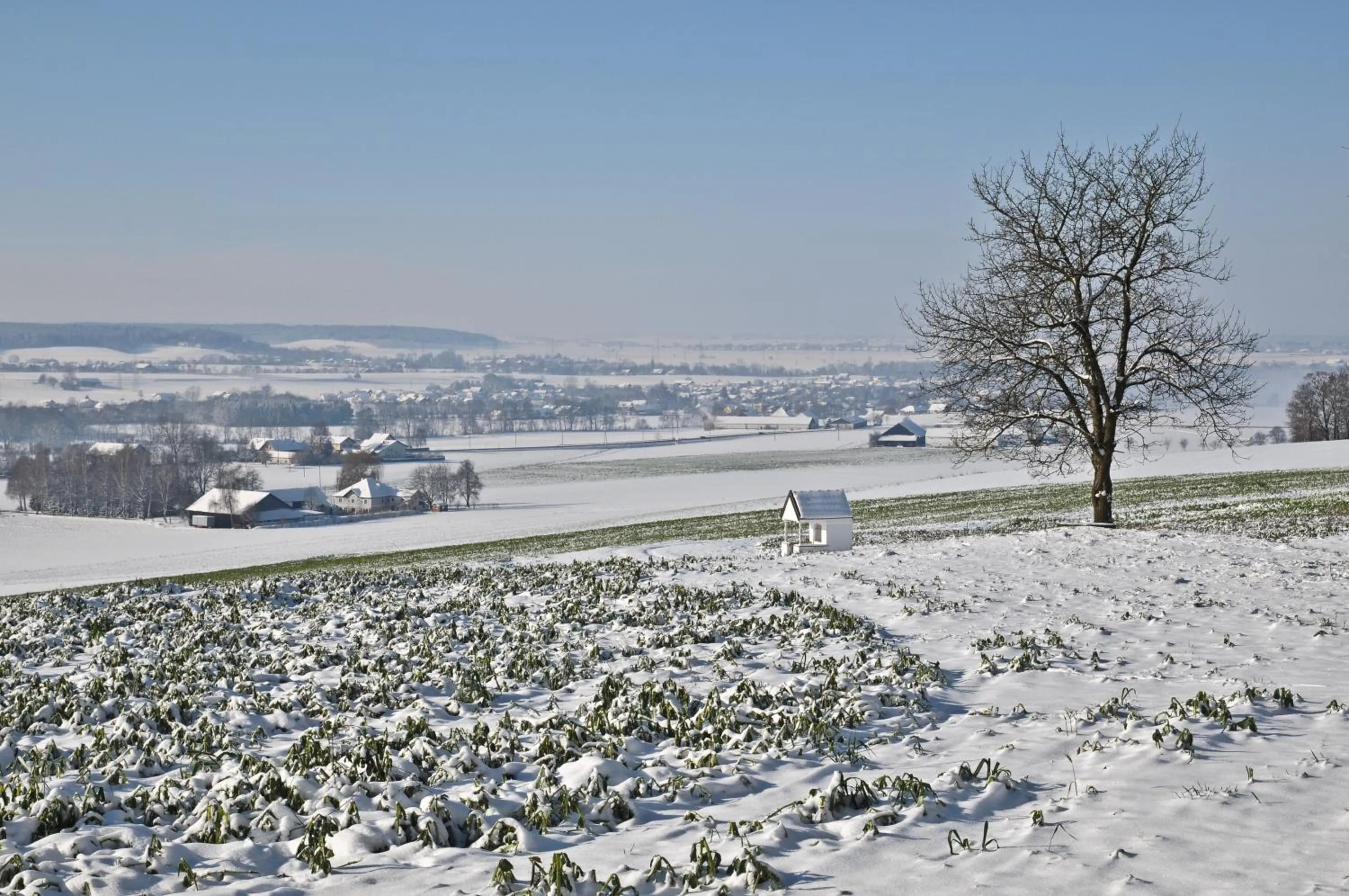 Area and facilities in Geinberg Suites & Via Nova Lodges