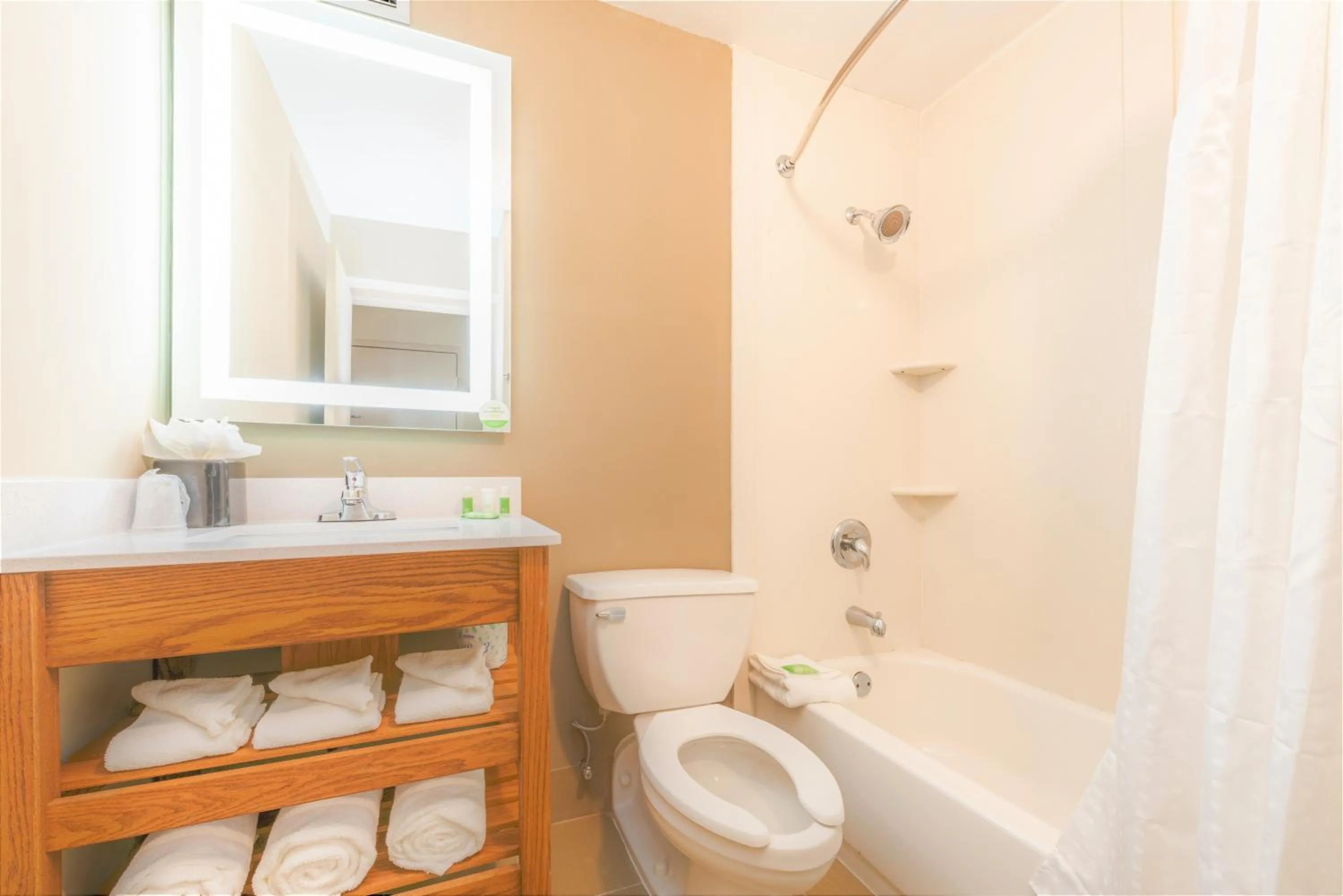 Bathroom in Doubletree By Hilton Greensboro Airport