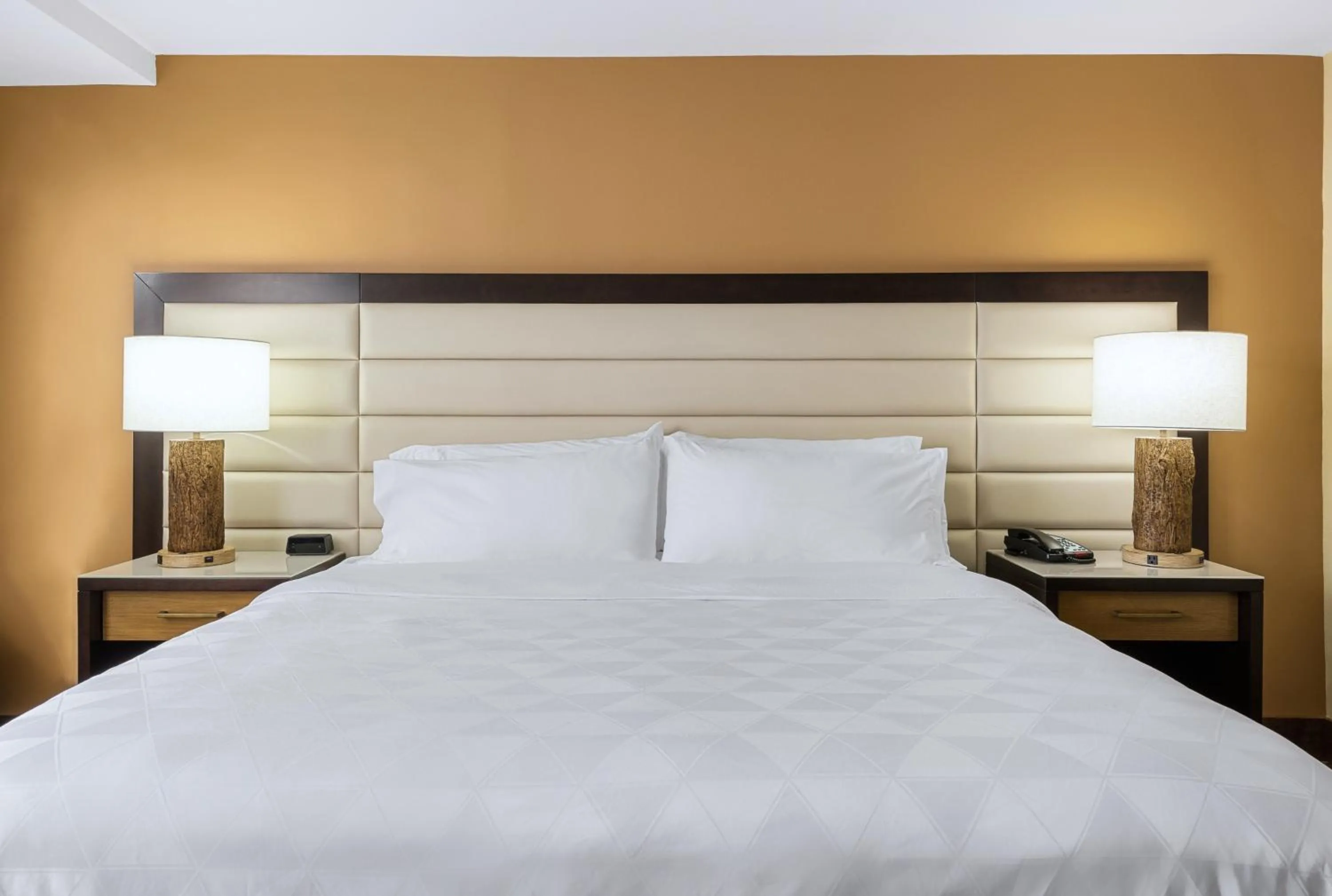 Photo of the whole room, Bed in Doubletree By Hilton Greensboro Airport