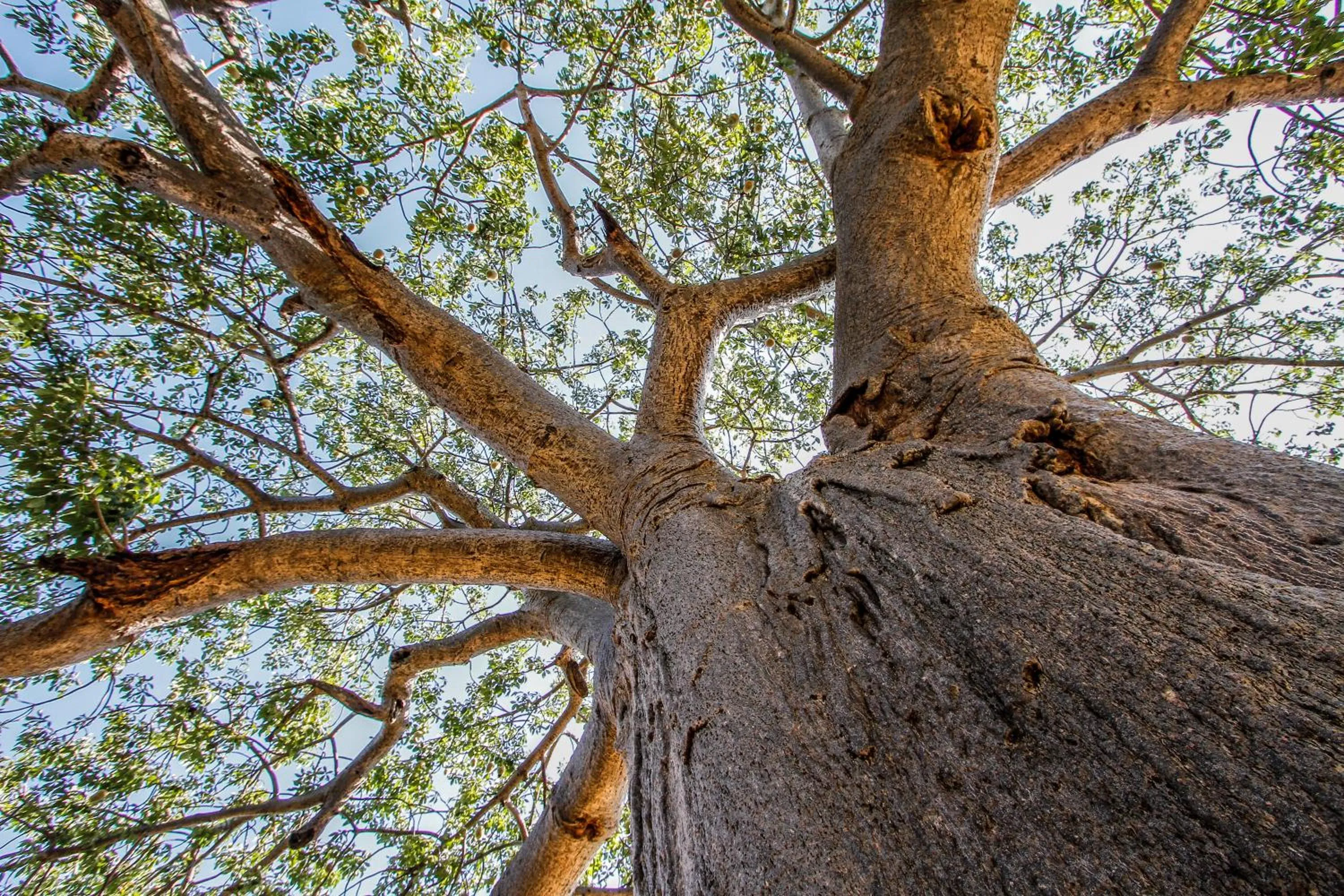 Natural landscape in SleepOver Orpen Gate
