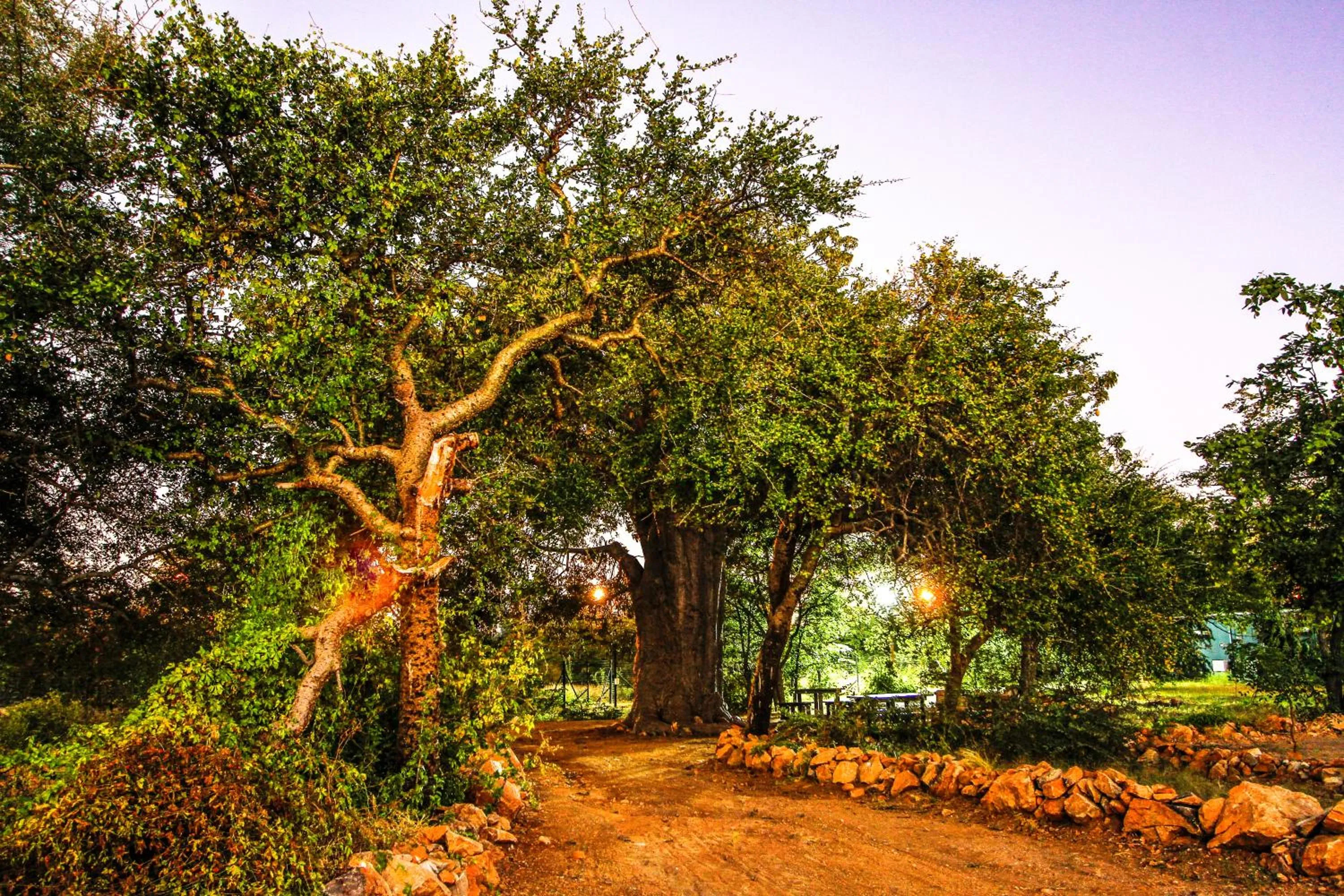 Property building in SleepOver Beitbridge