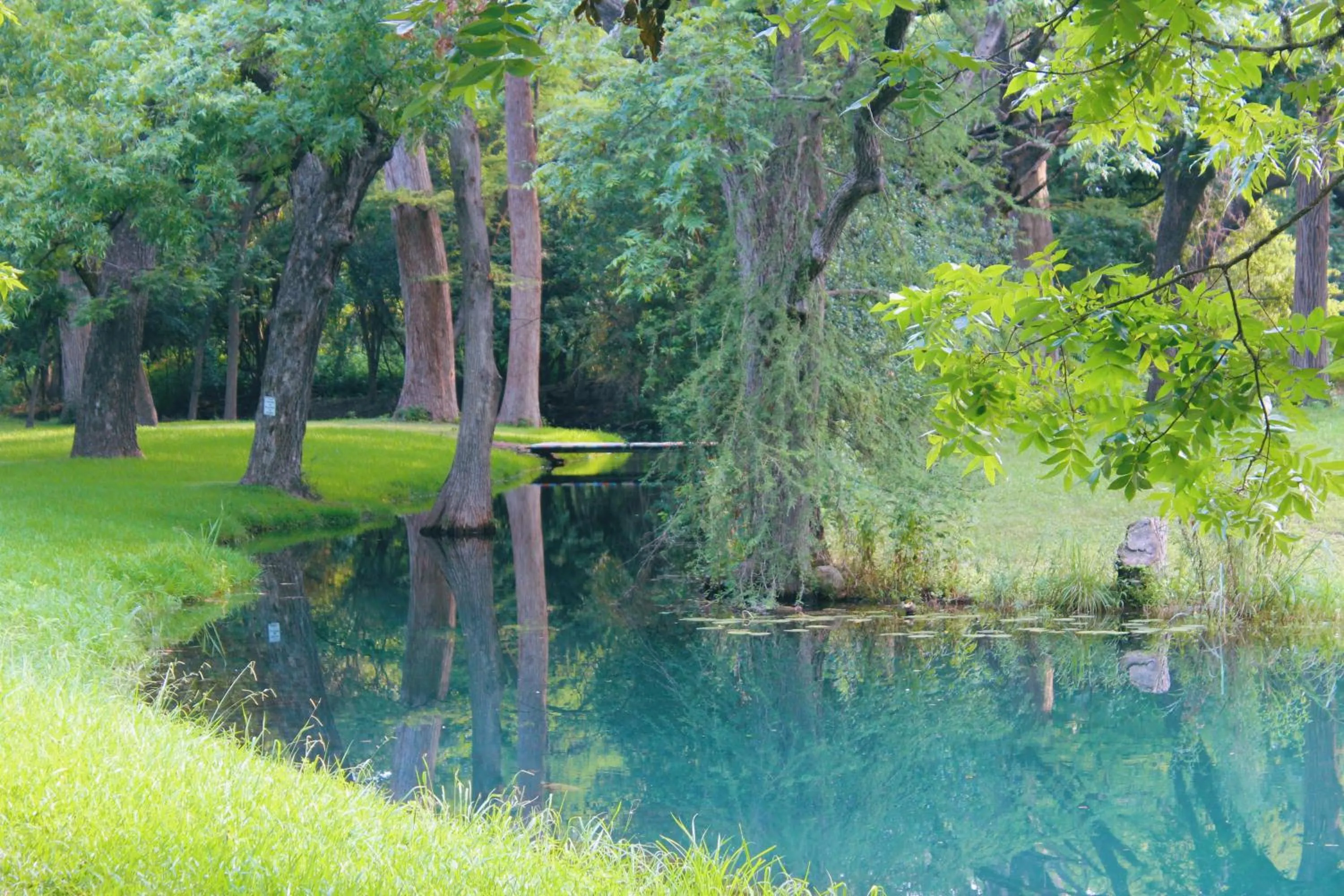 Spring in The Springs Retreat