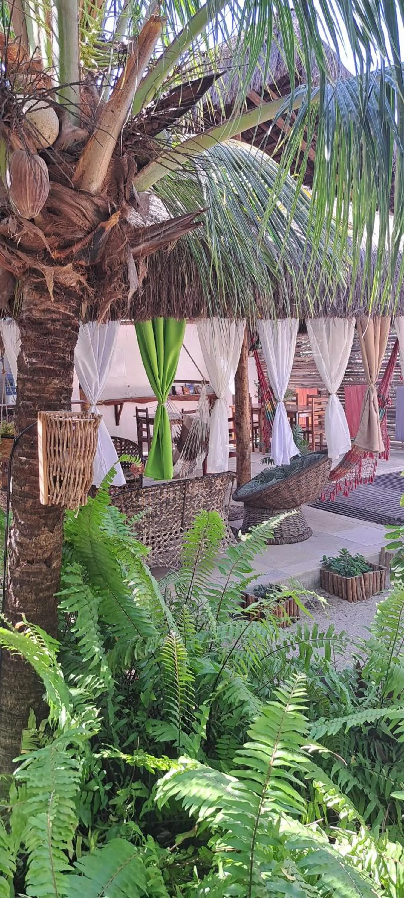 Garden in Pousada Lotus