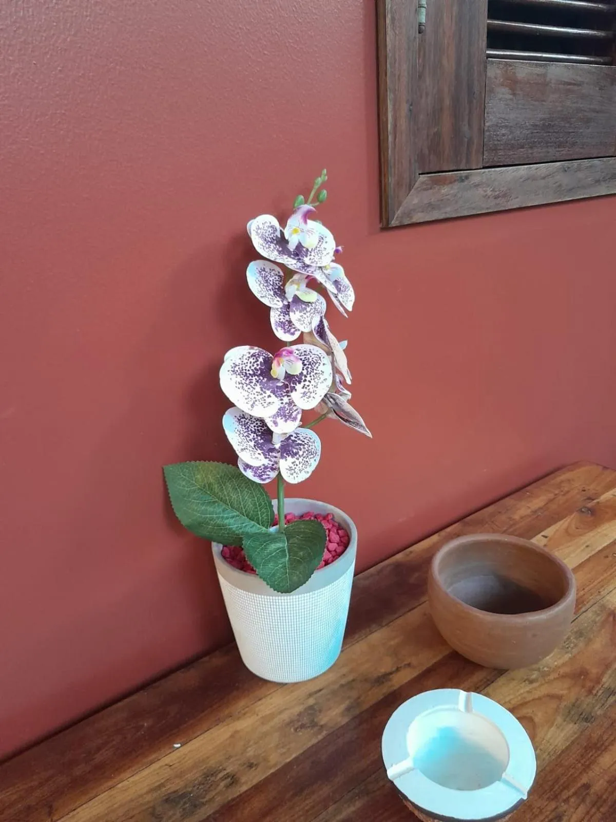 Garden in Pousada Lotus