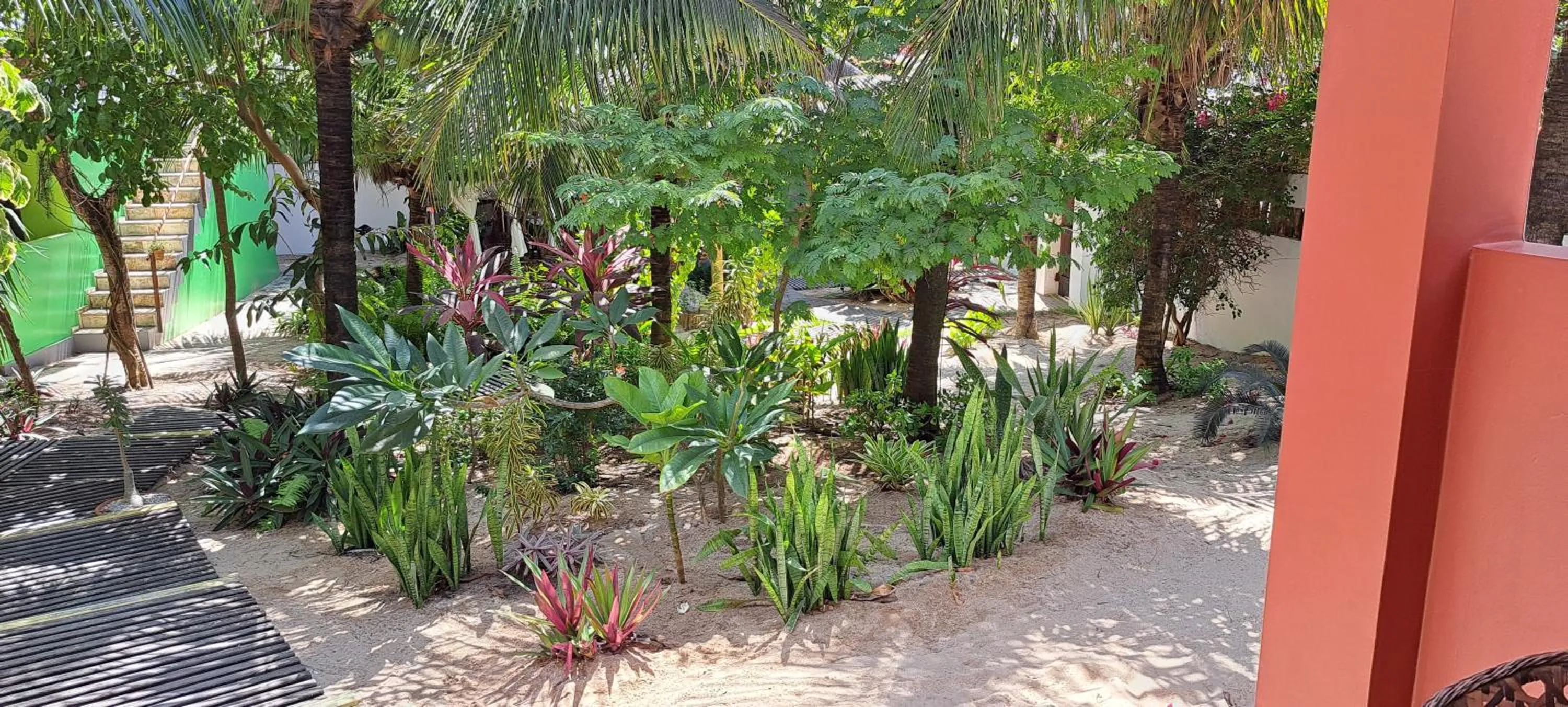Garden in Pousada Lotus