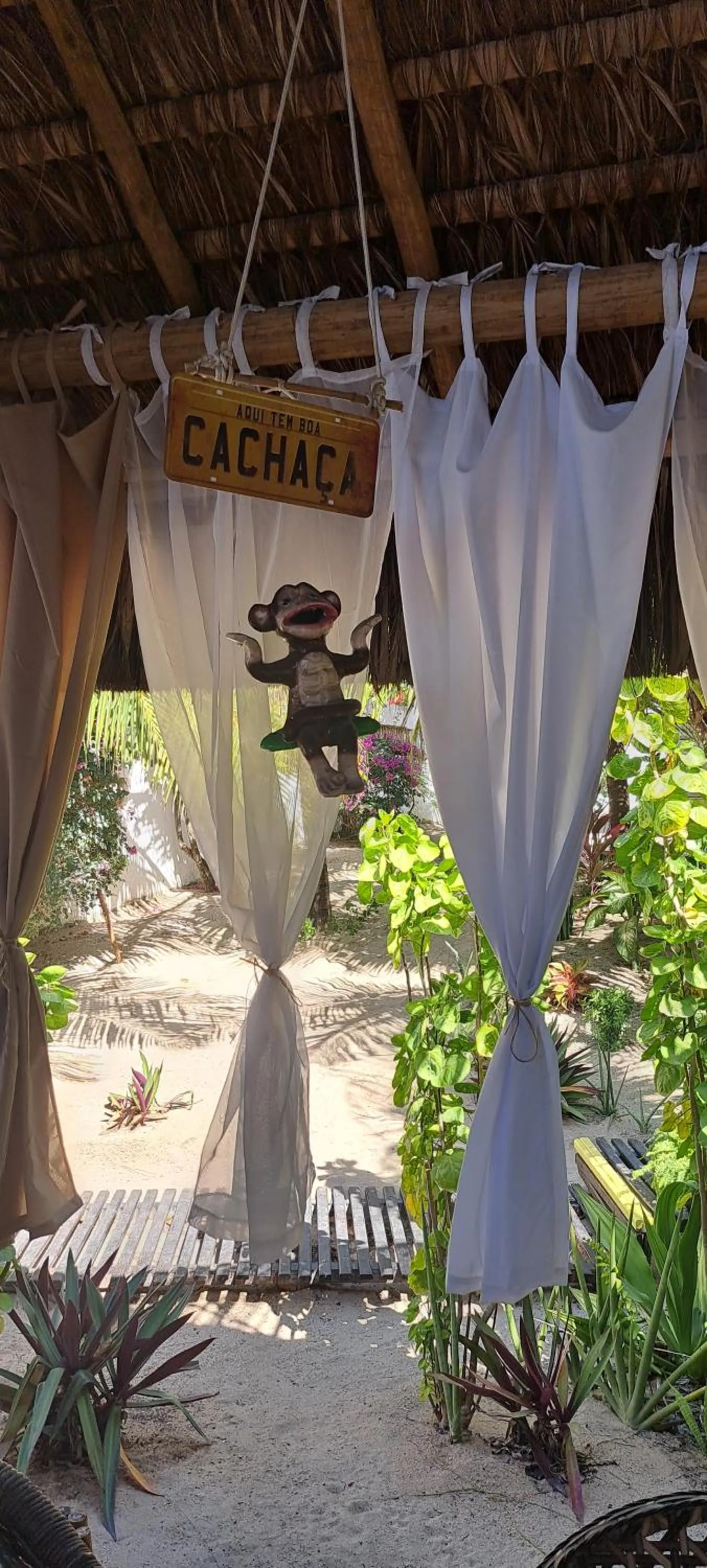 Garden in Pousada Lotus