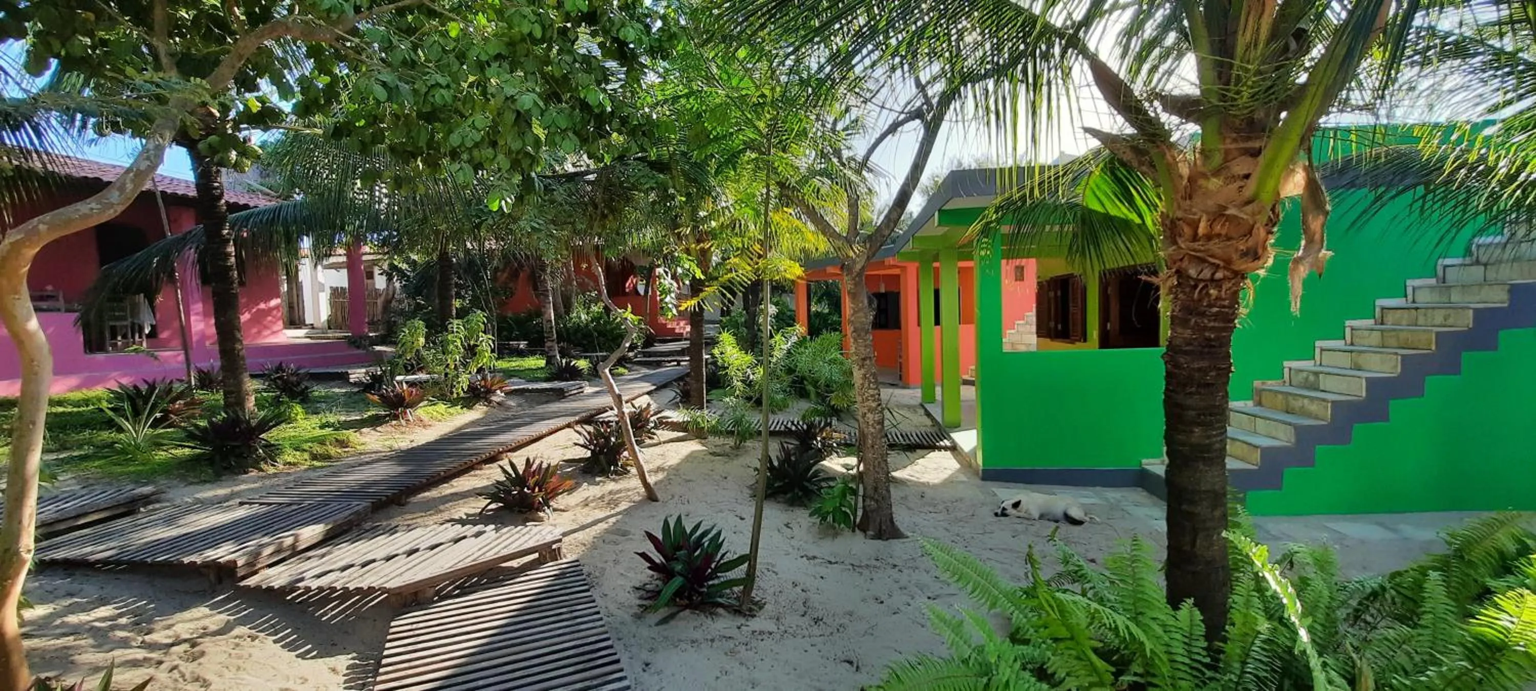 Garden in Pousada Lotus