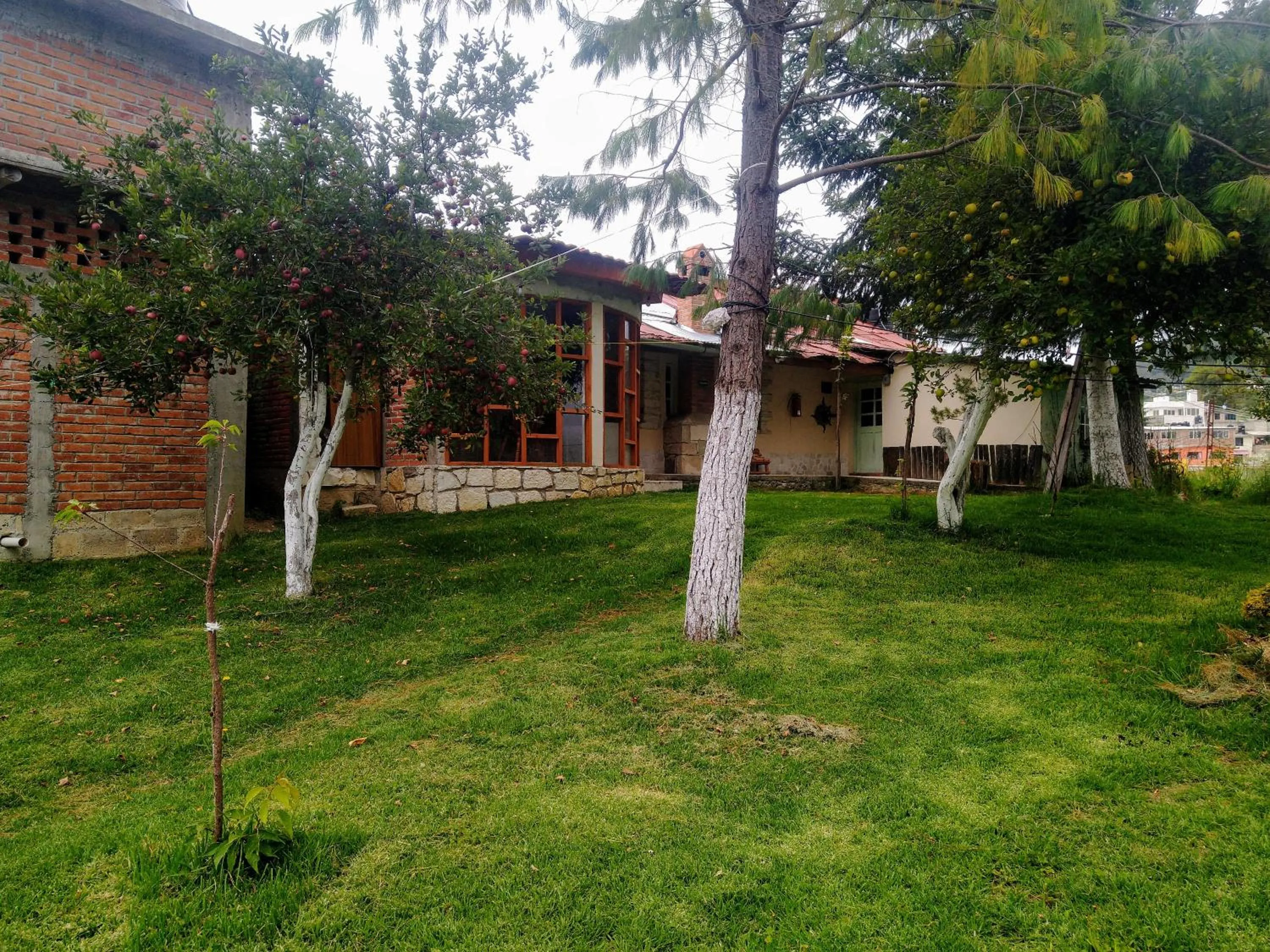 Economy Double Room in Hotel Rincon Del Real