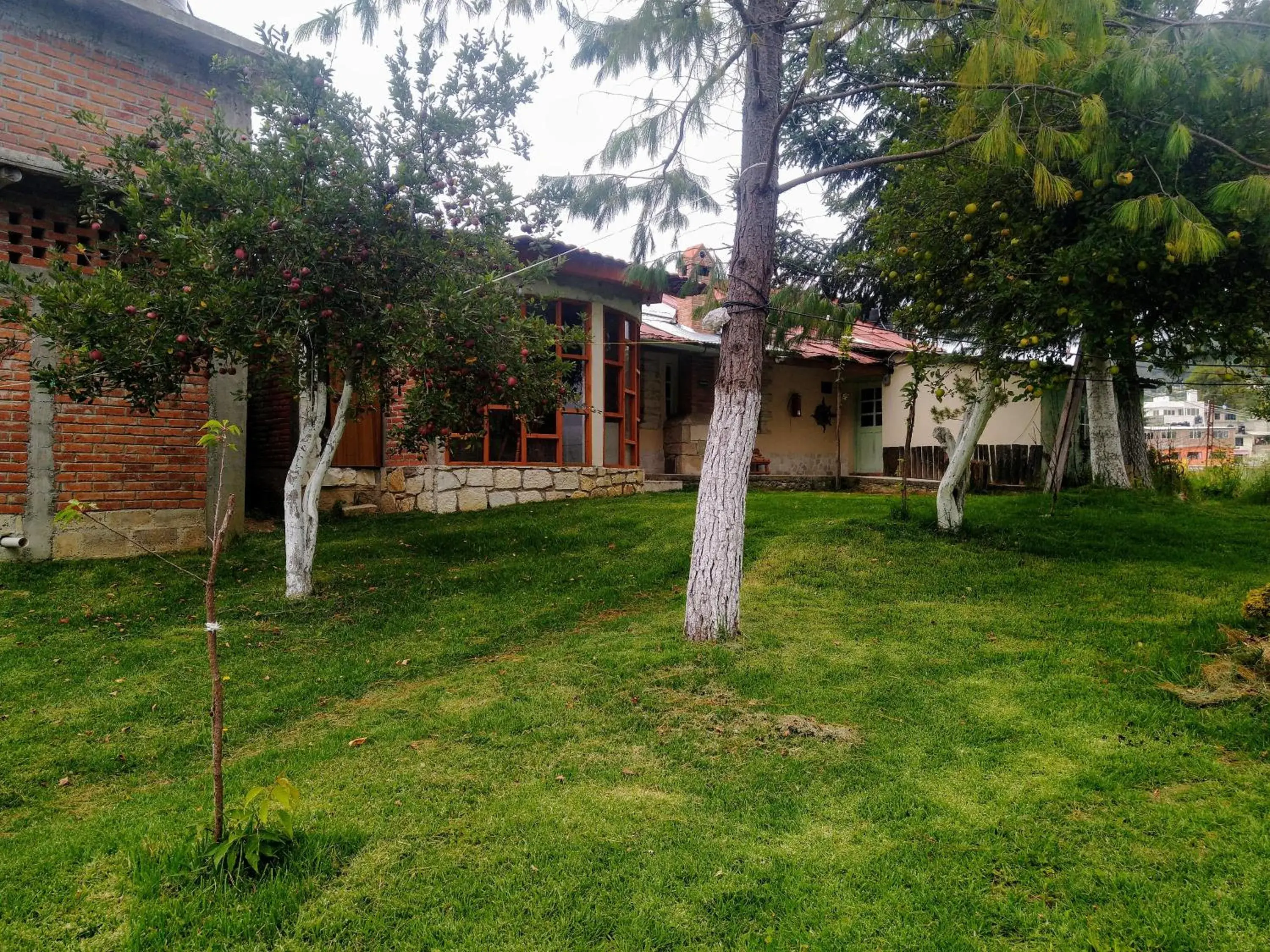 Economy Double Room in Hotel Rincon Del Real Economy Double Room in Hotel Rincon Del Real