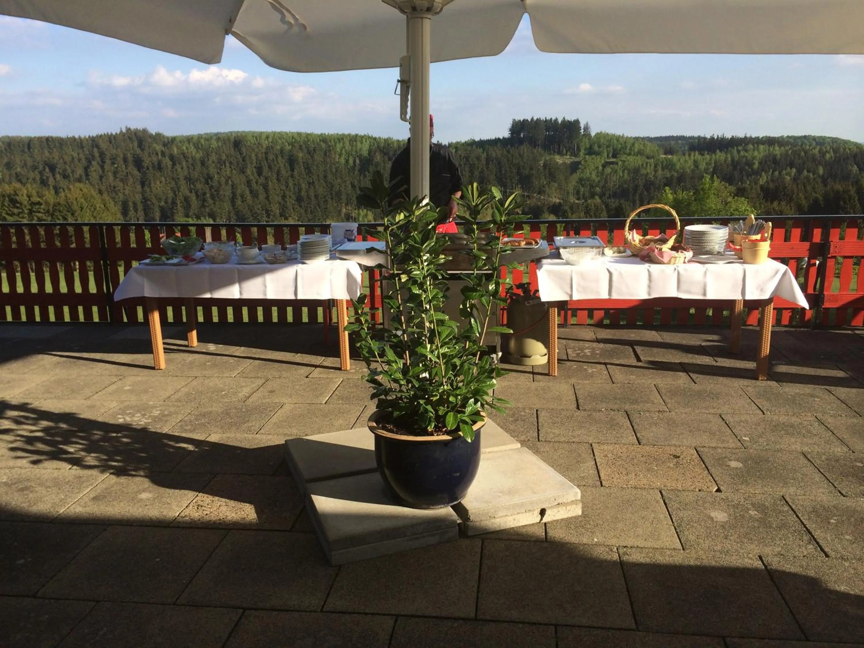 Mountain view in Harmonie Hotel Rust