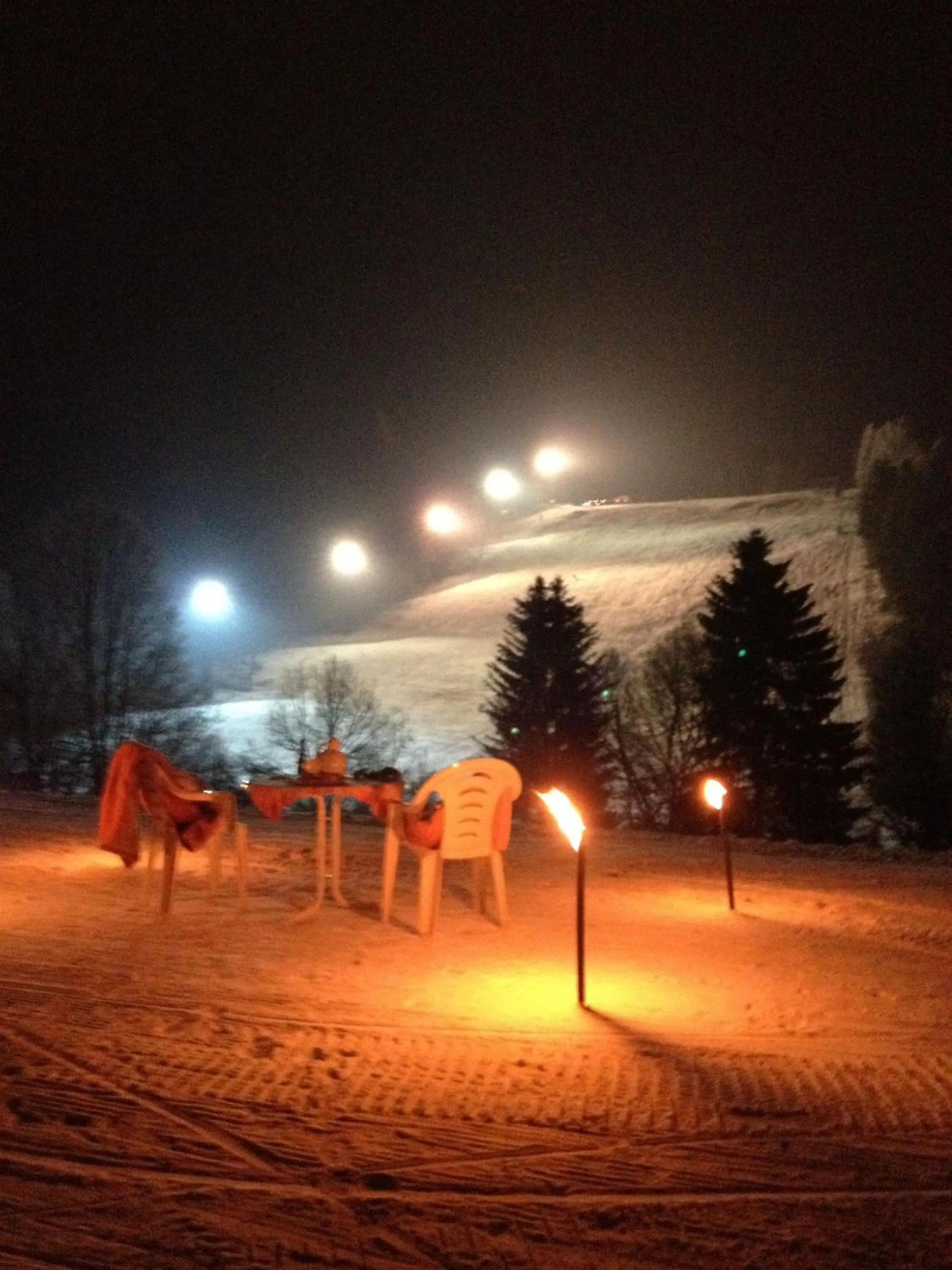 Skiing in Harmonie Hotel Rust