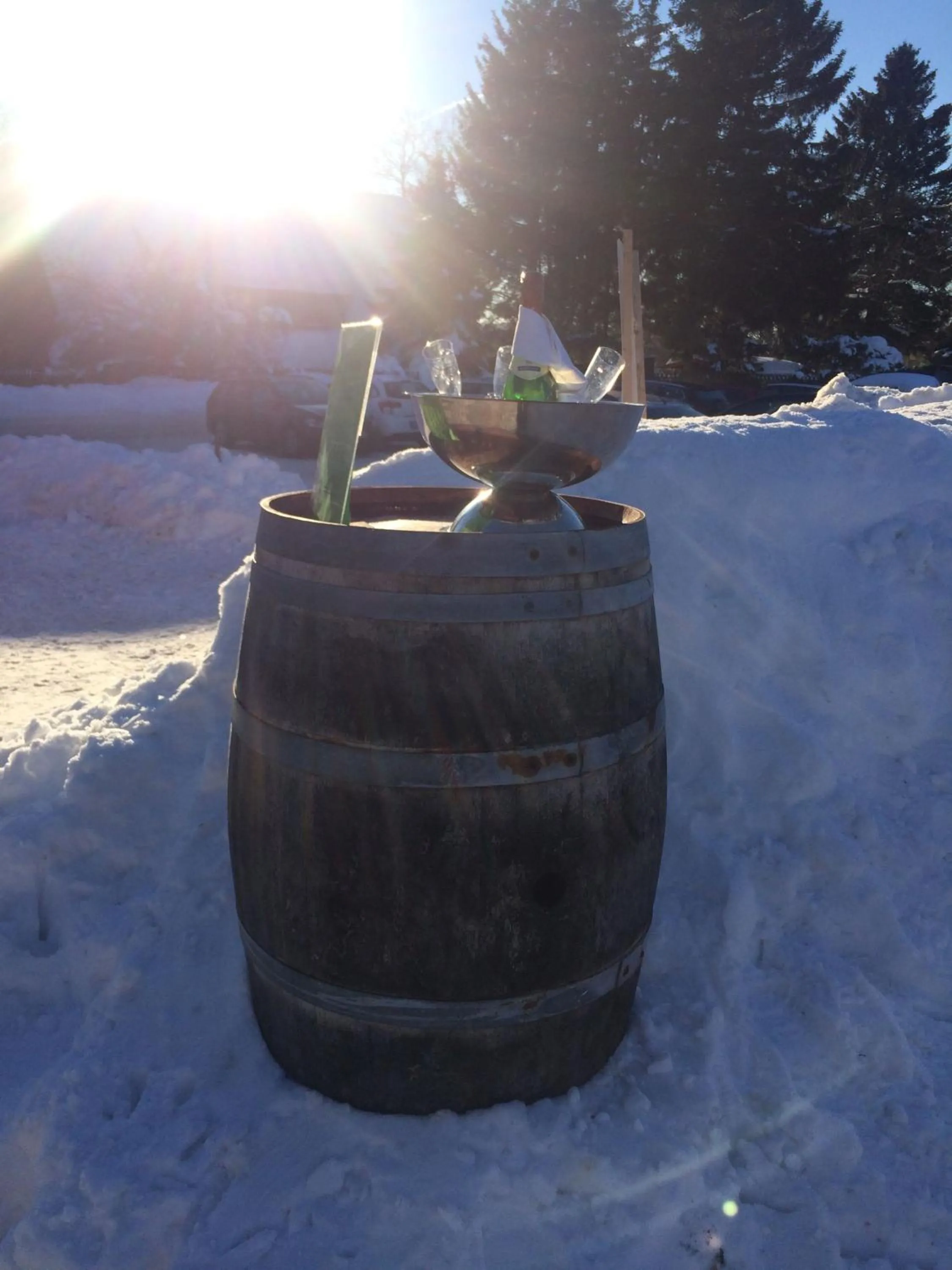 Skiing in Harmonie Hotel Rust