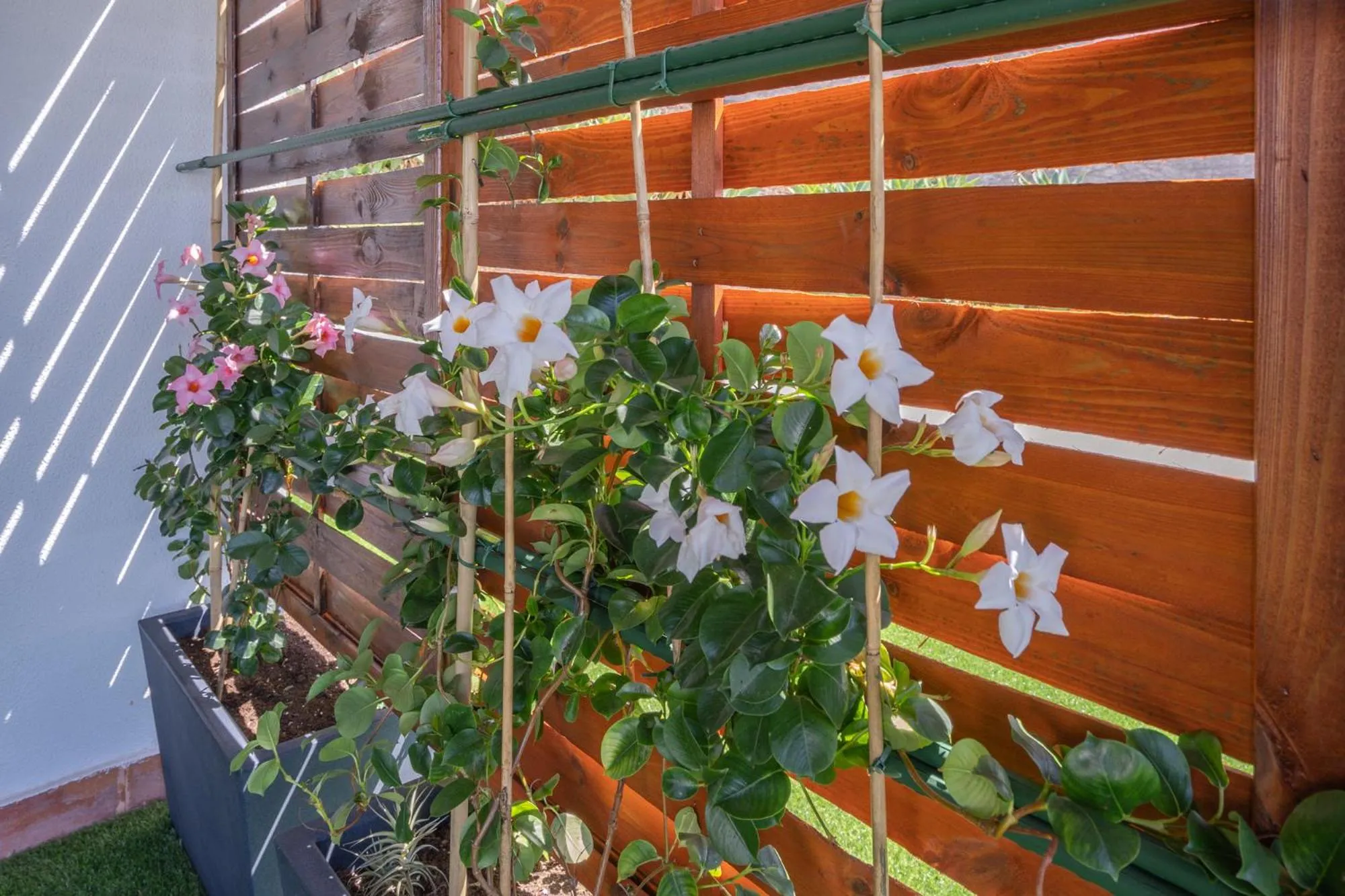 Flowers island house 3