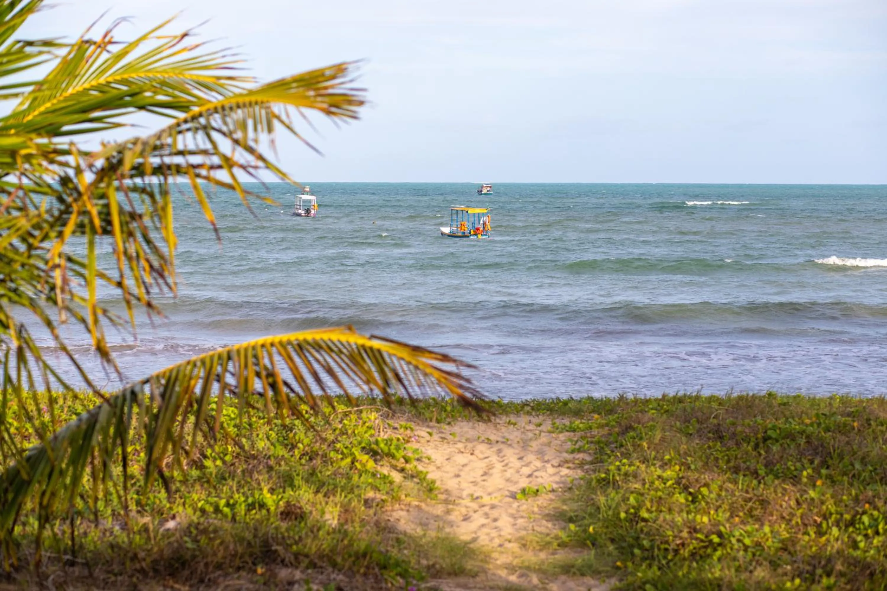 Beach in Condomínio Praias de Maragogi & Casas Deluxe