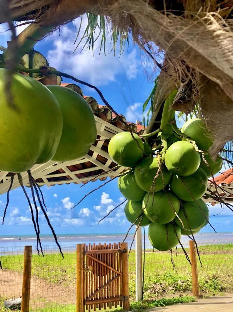 Natural landscape in Condomínio Praias de Maragogi & Casas Deluxe